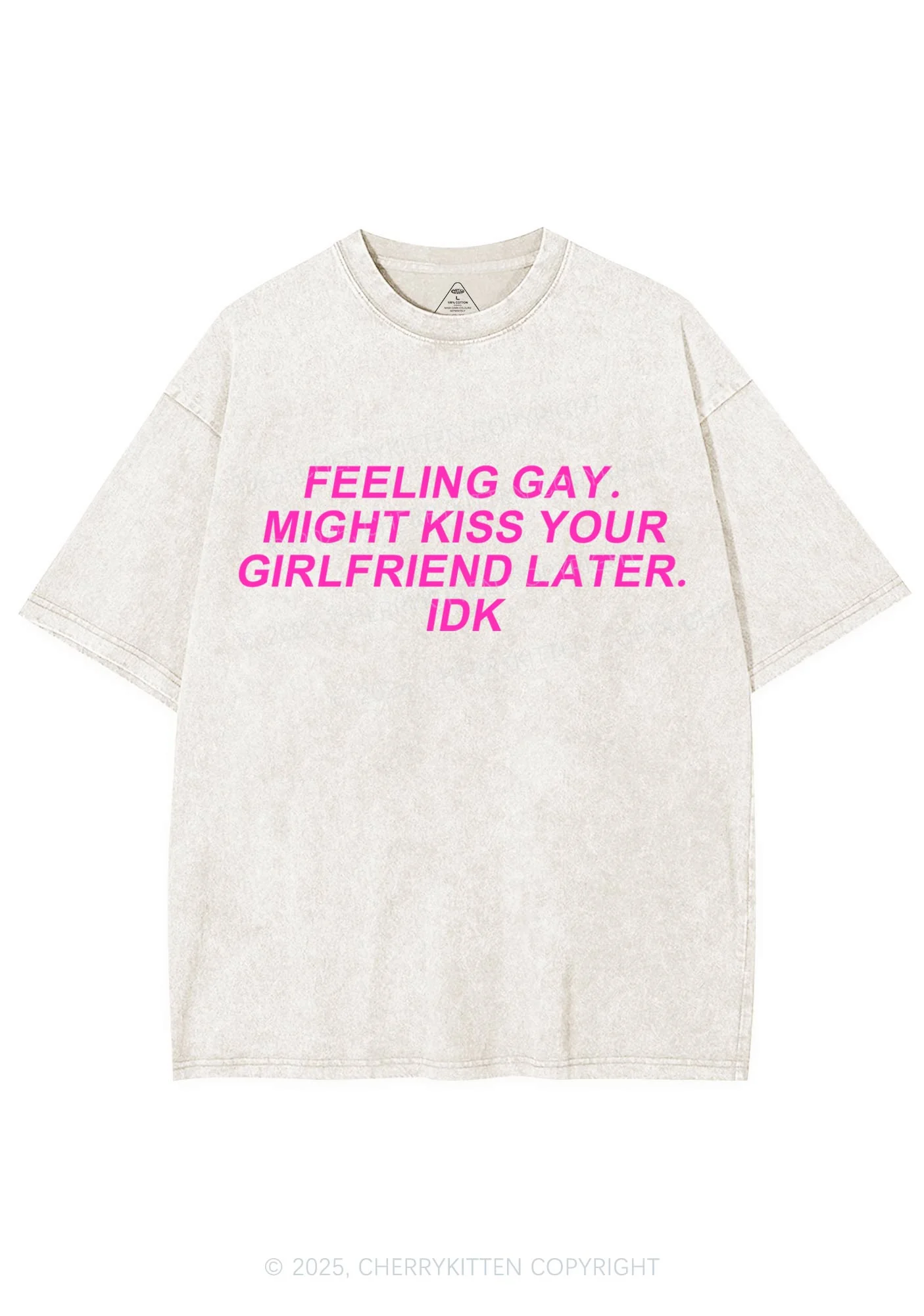Kiss Your GF Later Pride Y2K Shirts Washed Tee Cherrykitten - Image 6