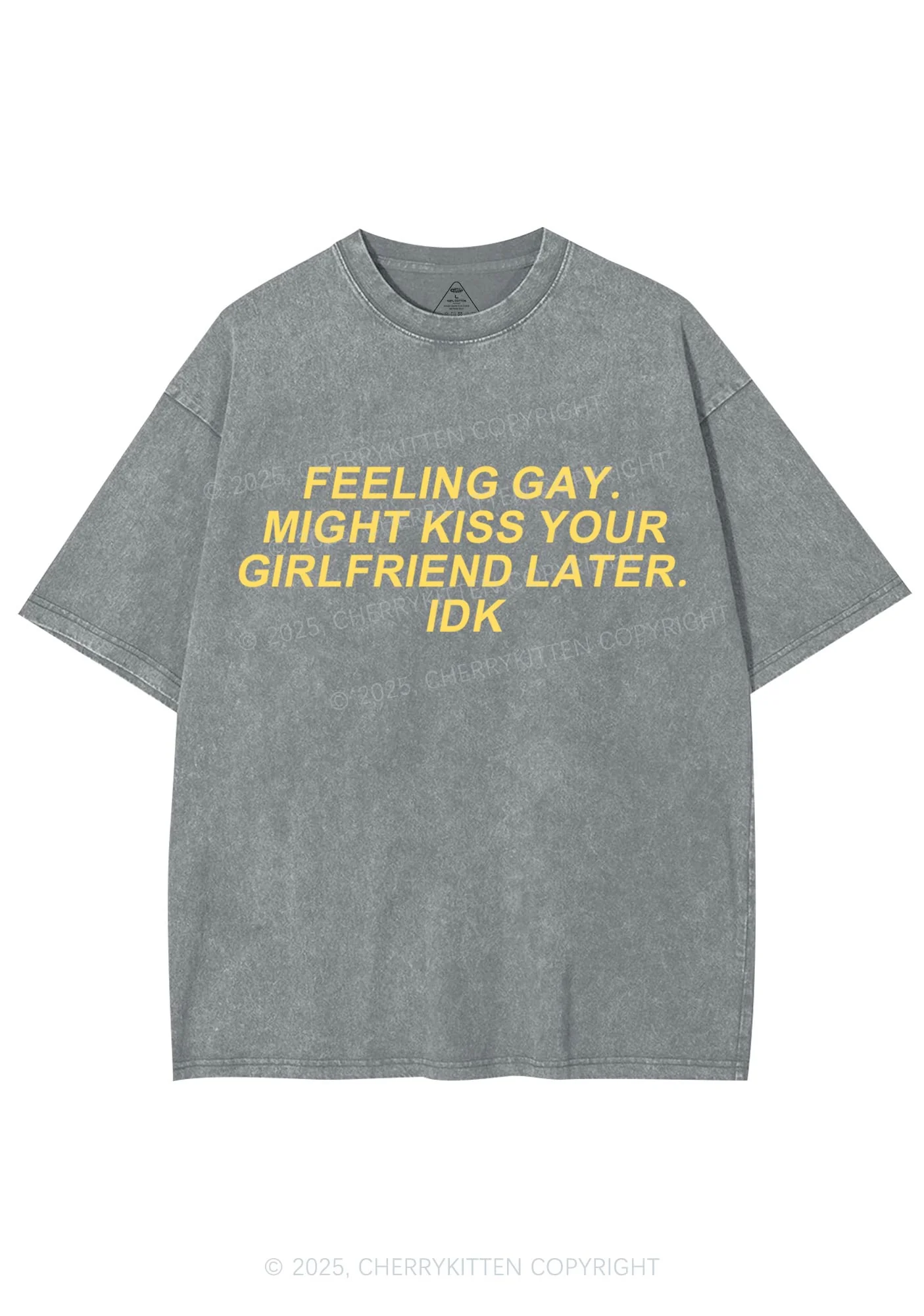 Kiss Your GF Later Pride Y2K Shirts Washed Tee Cherrykitten - Image 7