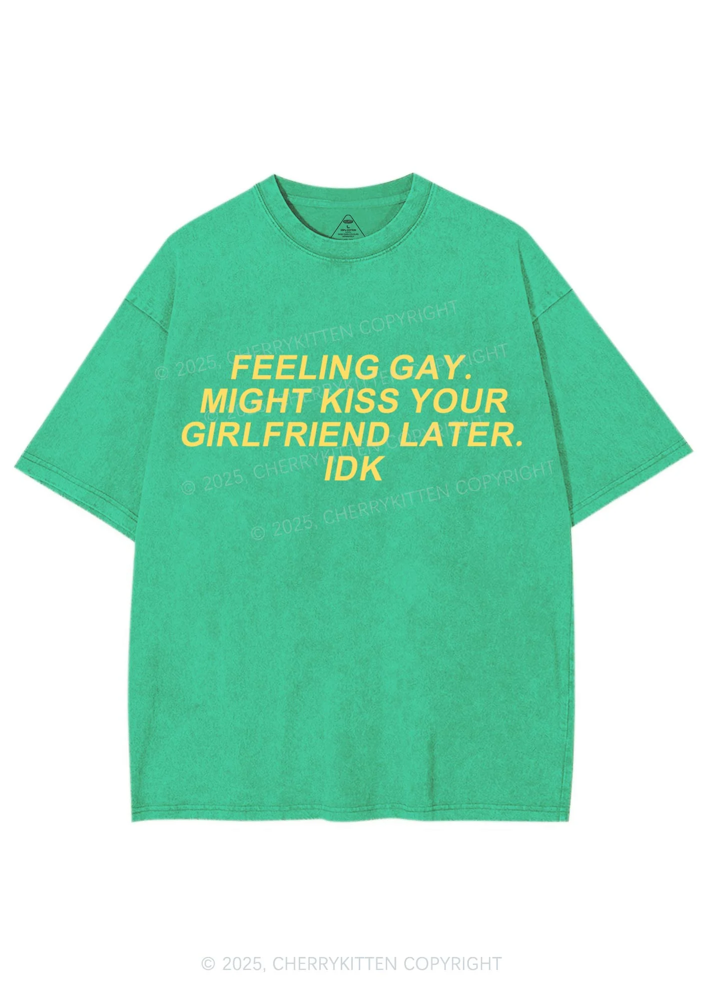 Kiss Your GF Later Pride Y2K Shirts Washed Tee Cherrykitten - Image 8
