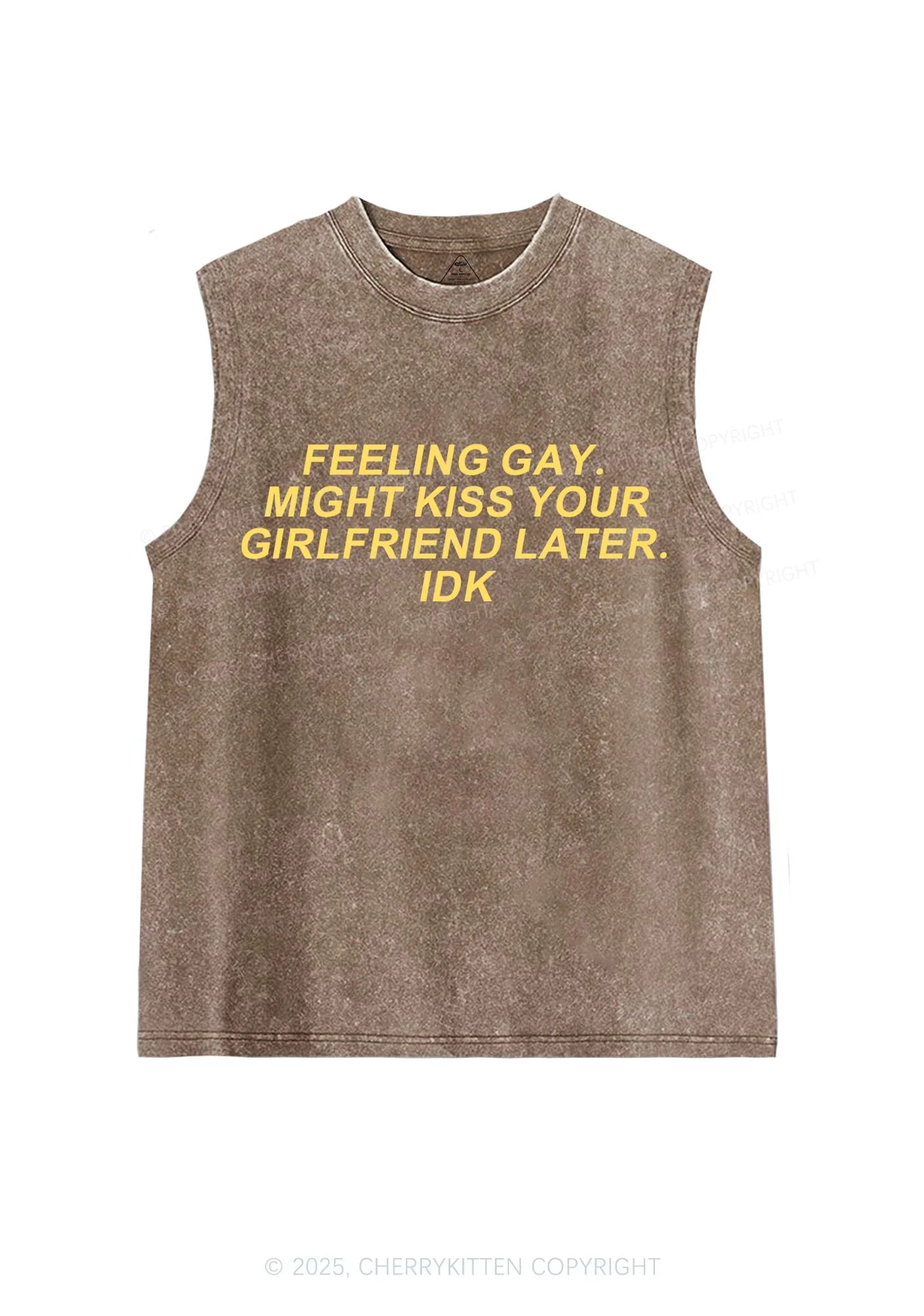 Kiss Your GF Later Pride Y2K Washed Muscle Tank Cherrykitten - Image 4