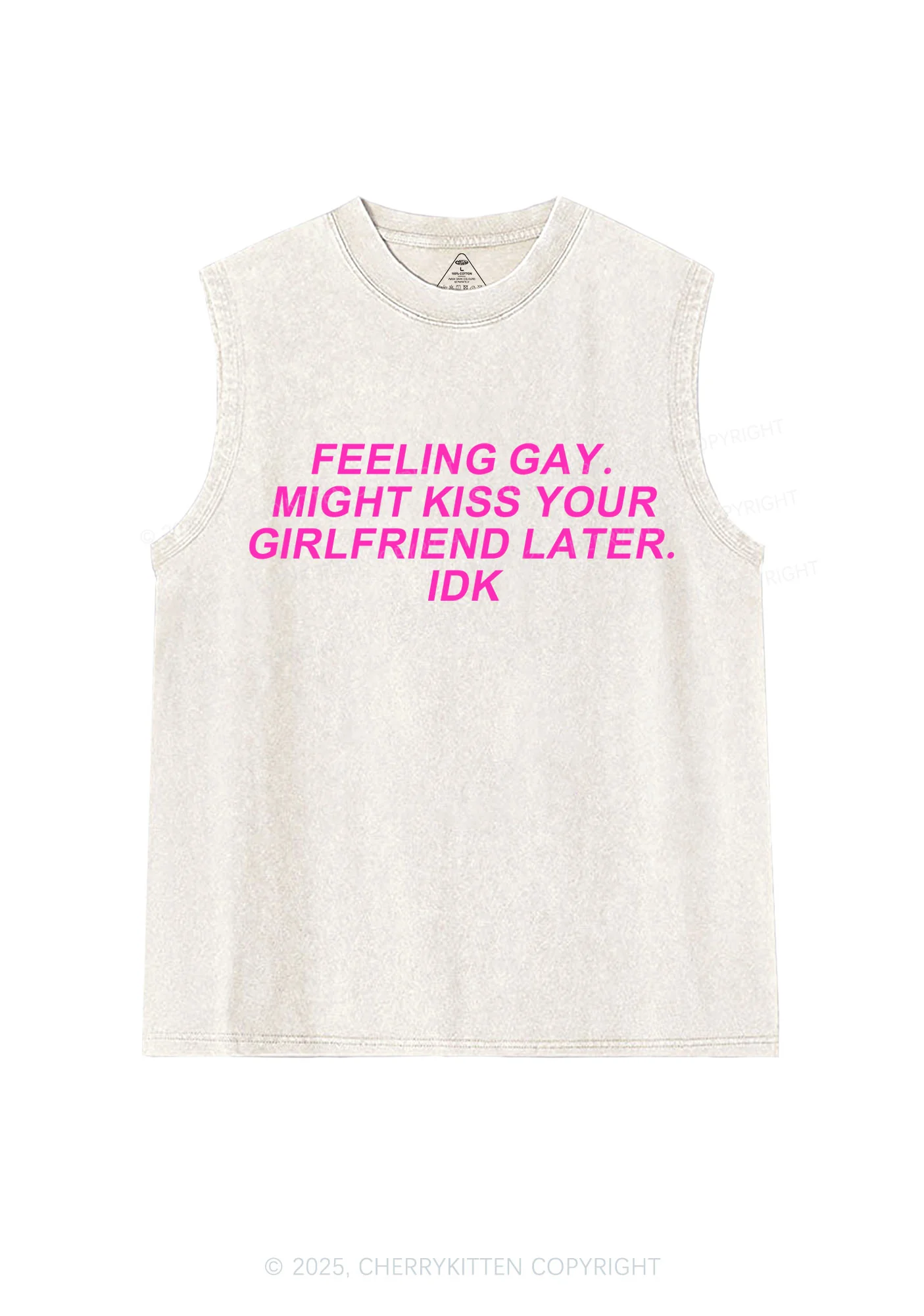 Kiss Your GF Later Pride Y2K Washed Muscle Tank Cherrykitten - Image 5