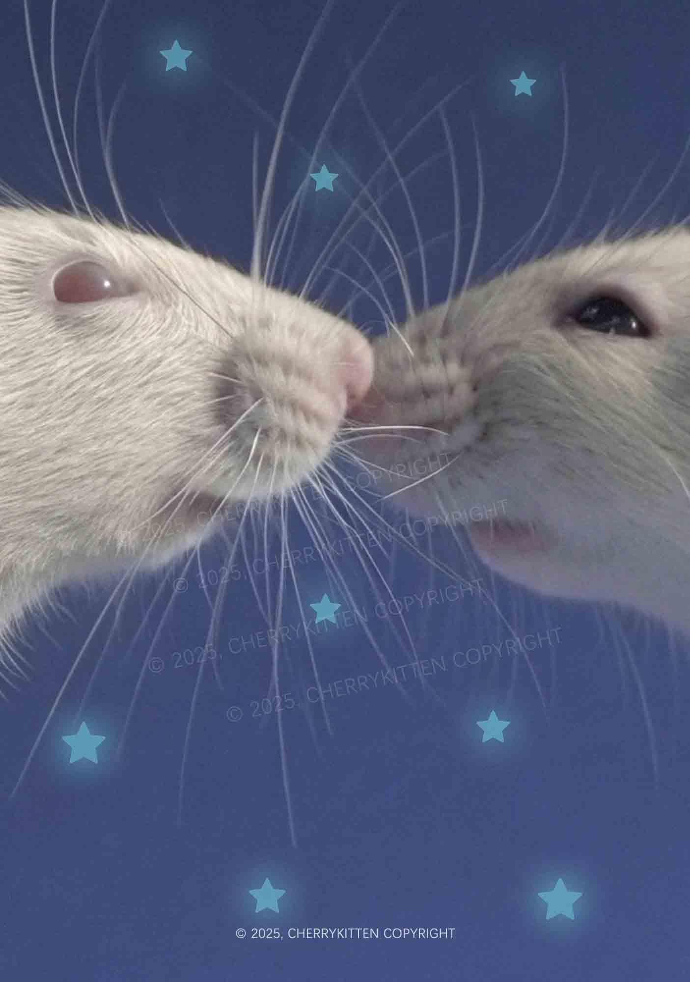 Kissing Rats Y2K Mesh Crop Top Cherrykitten - Image 2
