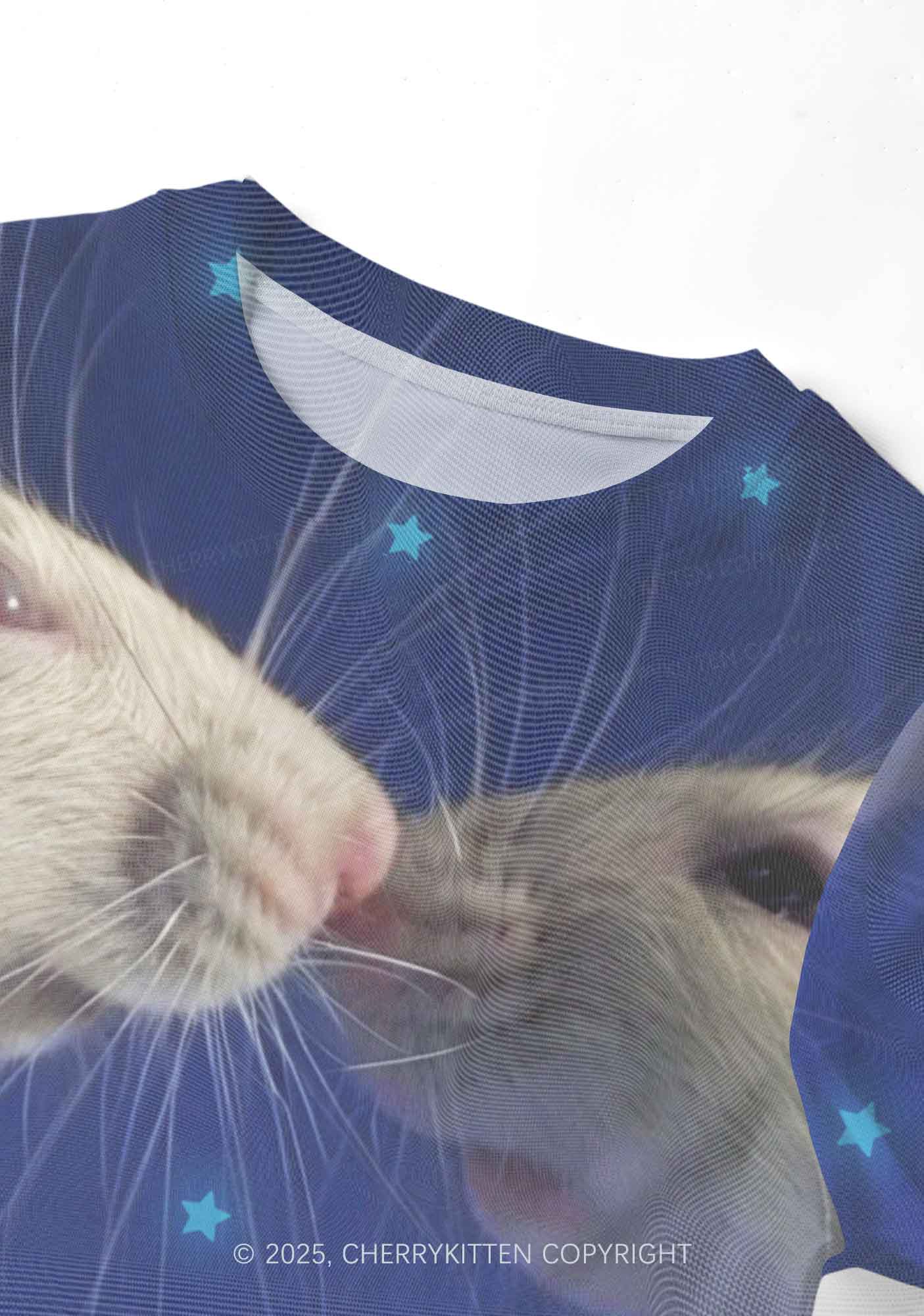 Kissing Rats Y2K Mesh Crop Top Cherrykitten - Image 3
