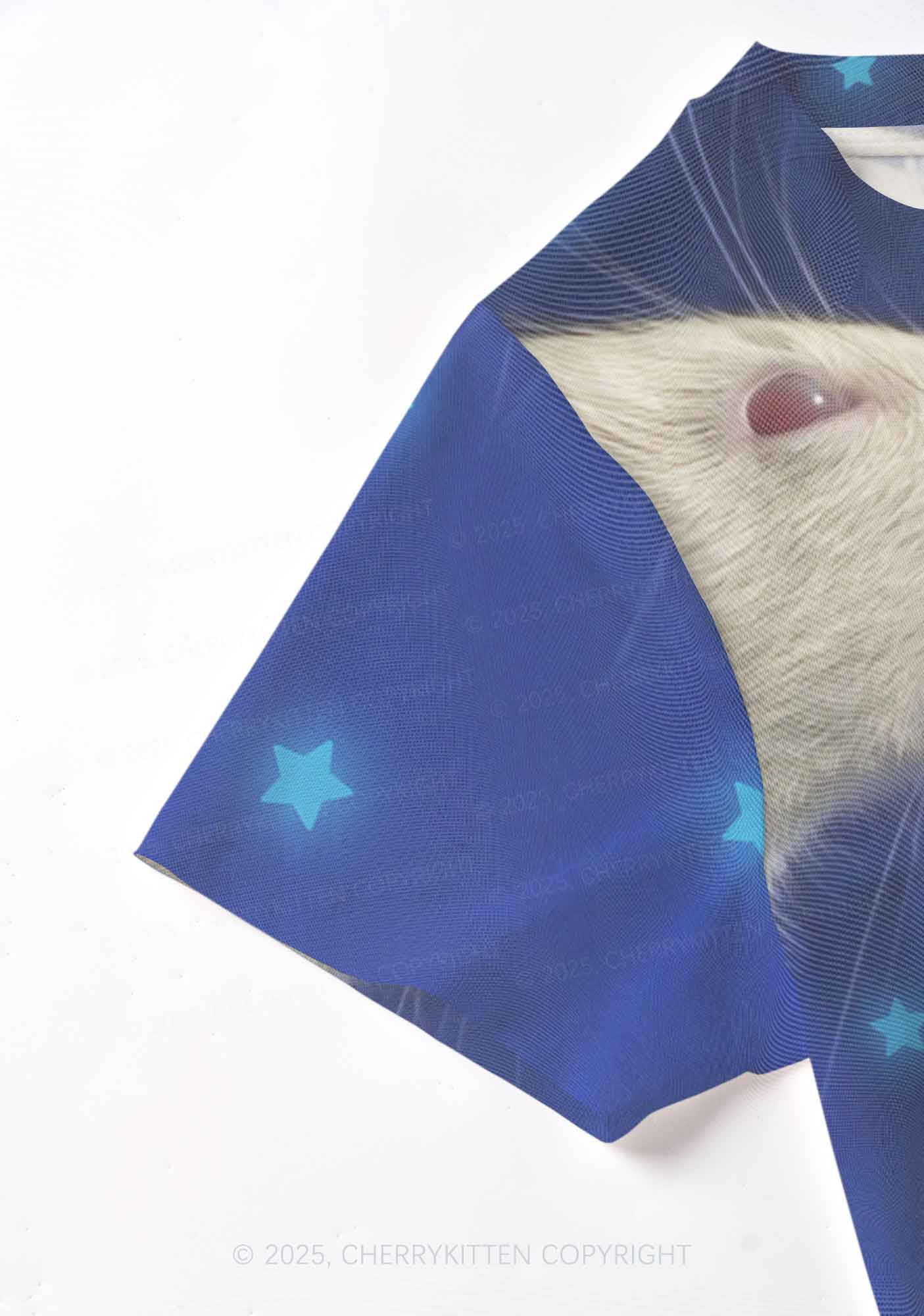 Kissing Rats Y2K Mesh Crop Top Cherrykitten - Image 4