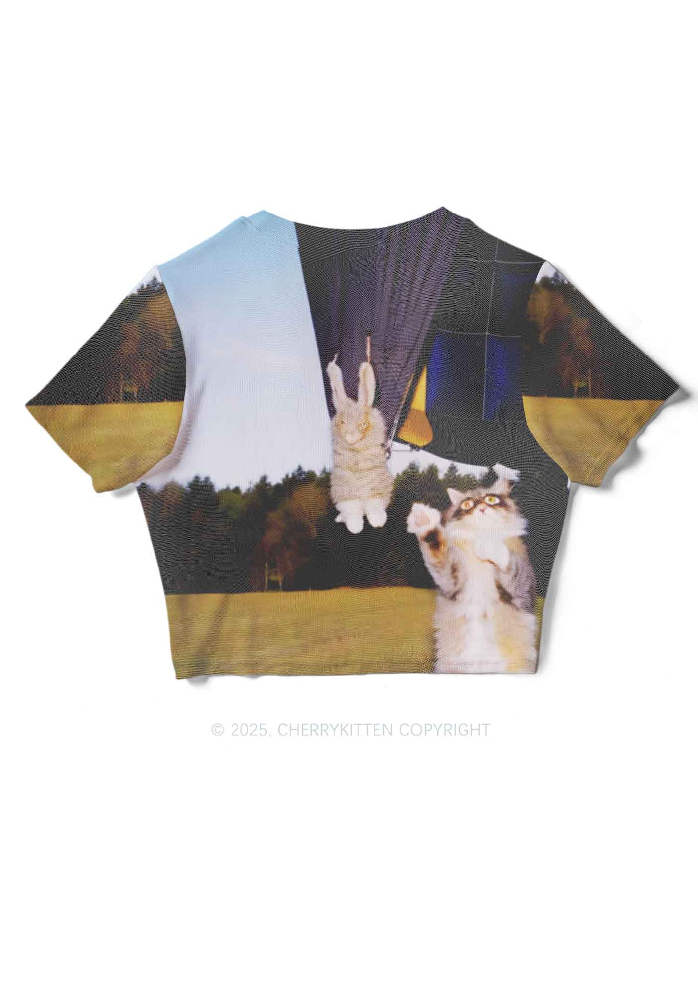 Kitten Camping Y2K Mesh Crop Top Cherrykitten - Image 2