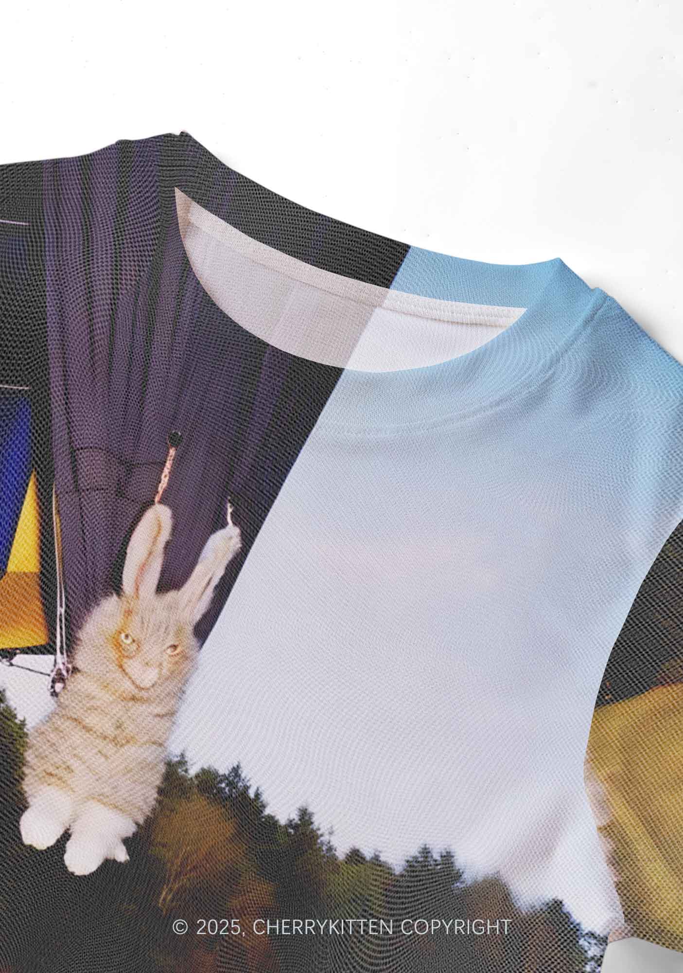 Kitten Camping Y2K Mesh Crop Top Cherrykitten - Image 4