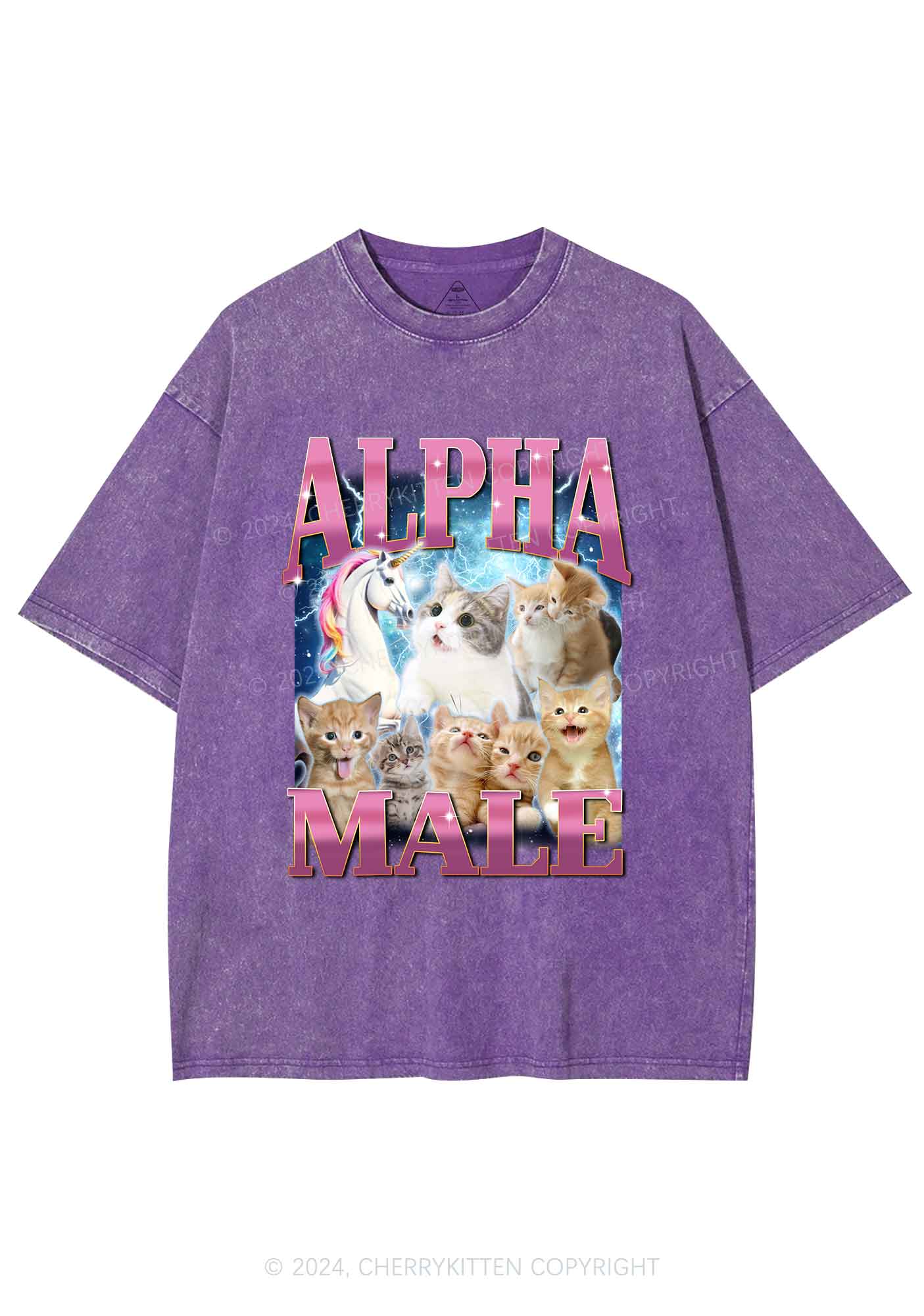 Kitten Unicorn Alpha Male Y2K Washed Tee Cherrykitten - Image 5