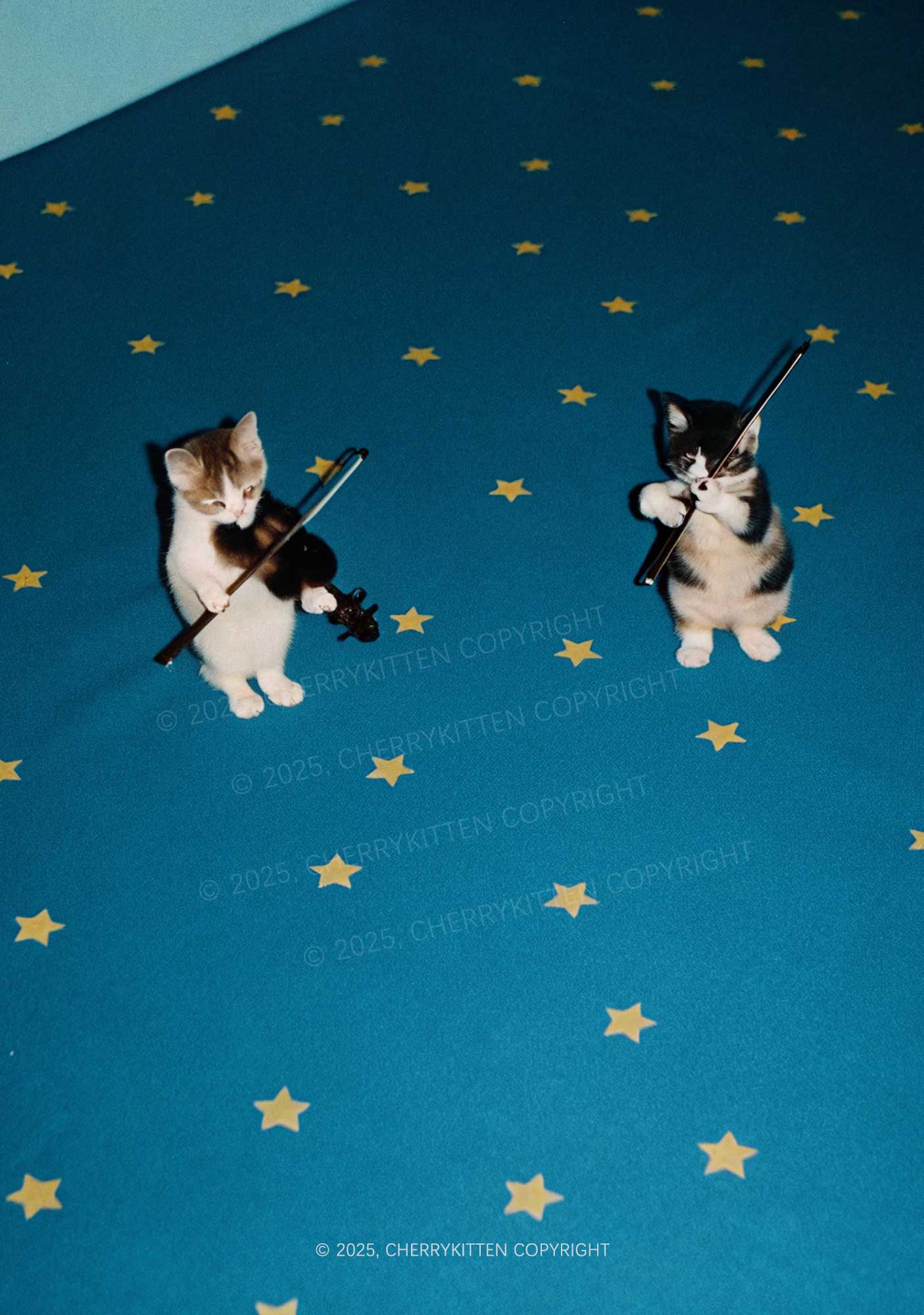Kitten Violinist Y2K Mesh Crop Top Cherrykitten - Image 2