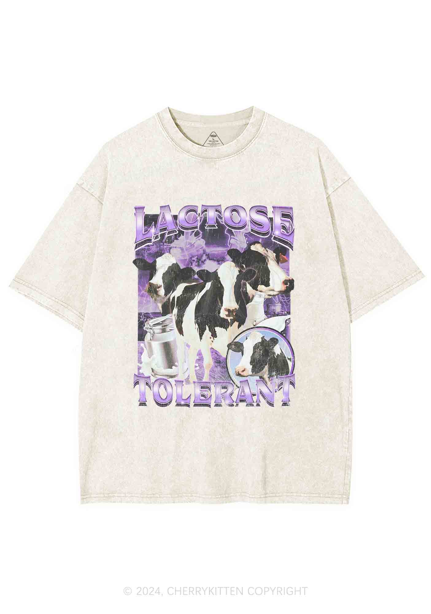 Lactose Tolerant Cow Y2K Washed Tee Cherrykitten - Image 4