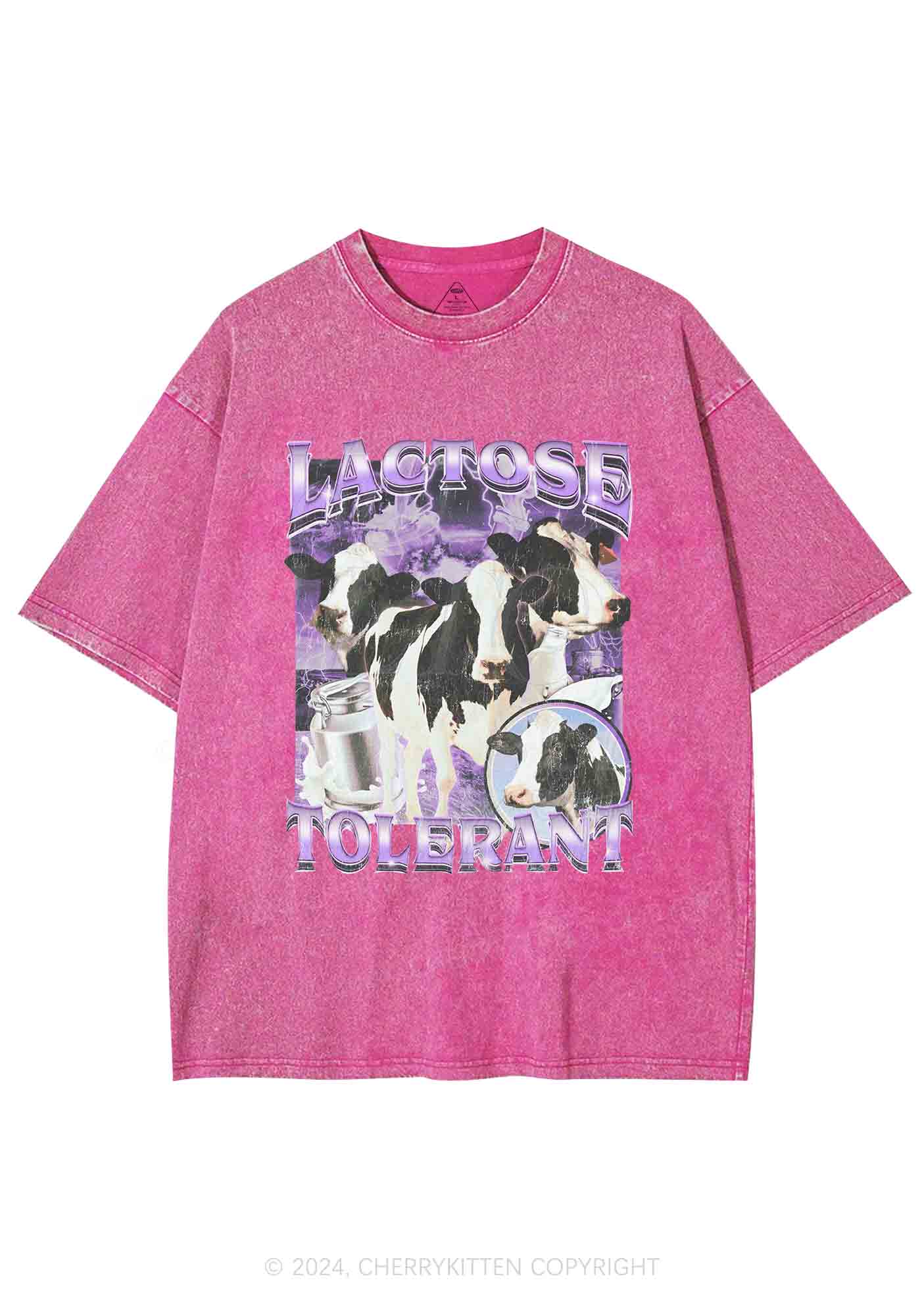 Lactose Tolerant Cow Y2K Washed Tee Cherrykitten - Image 5