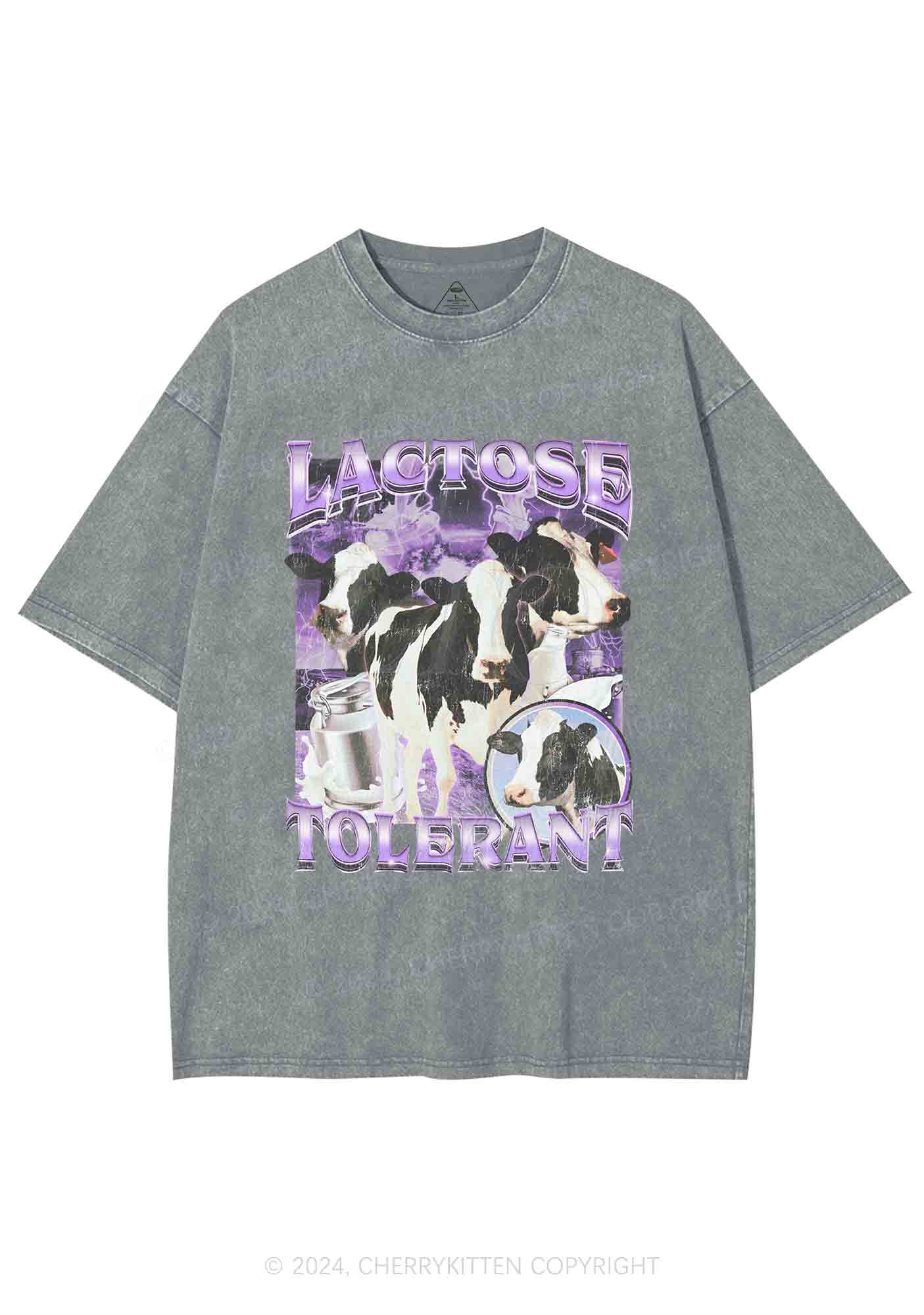Lactose Tolerant Cow Y2K Washed Tee Cherrykitten - Image 6