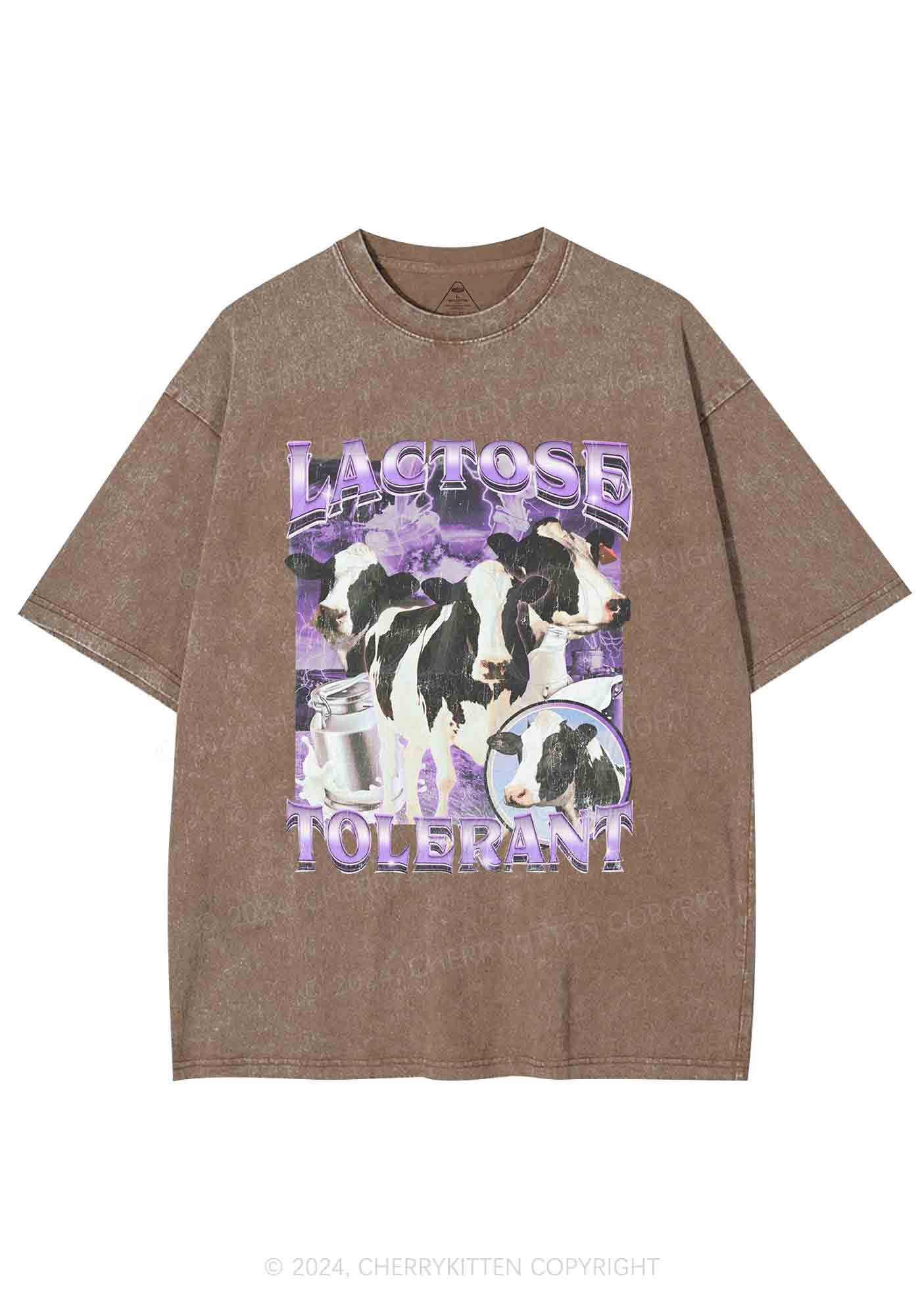 Lactose Tolerant Cow Y2K Washed Tee Cherrykitten - Image 7