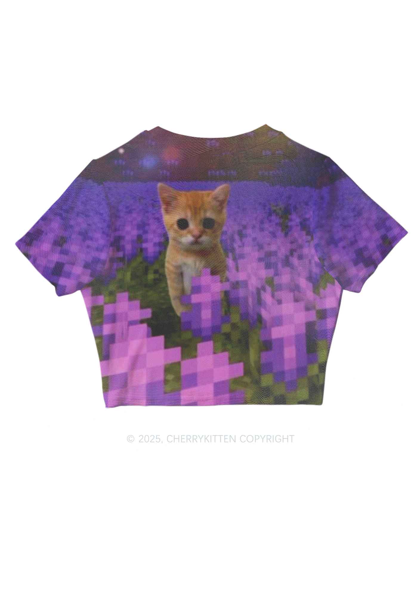 Lavender Kitten Y2K Mesh Crop Top Cherrykitten - Image 2