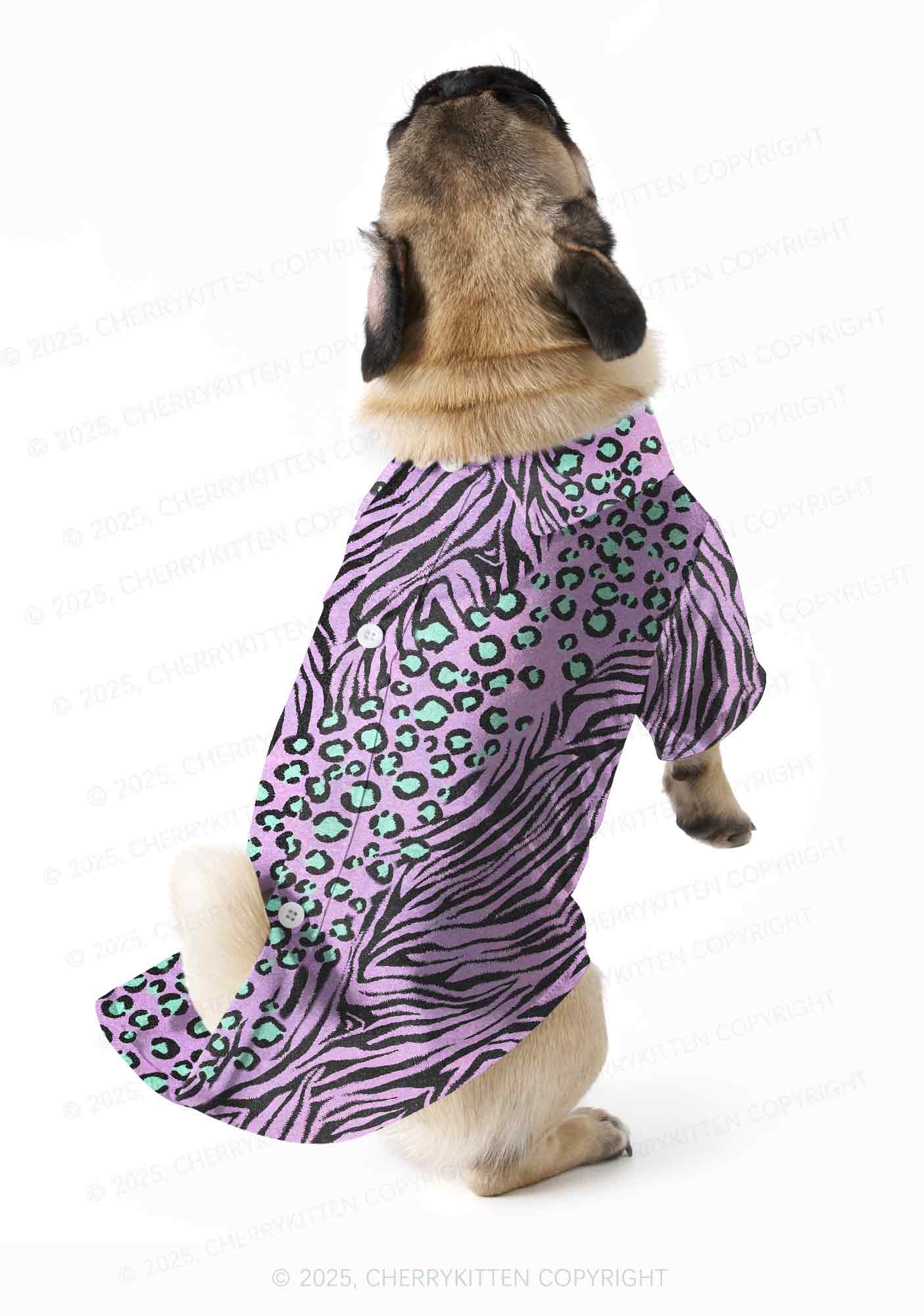 Lavender Zebra Y2K Pet Shirts Cherrykitten - Image 2