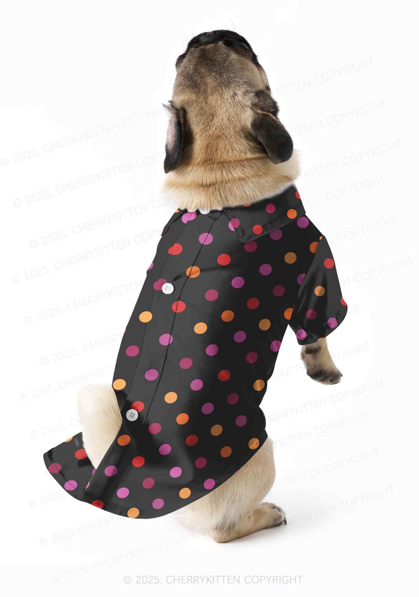 Lesbian Dots Pride Y2K Pet Shirts Cherrykitten - Image 2