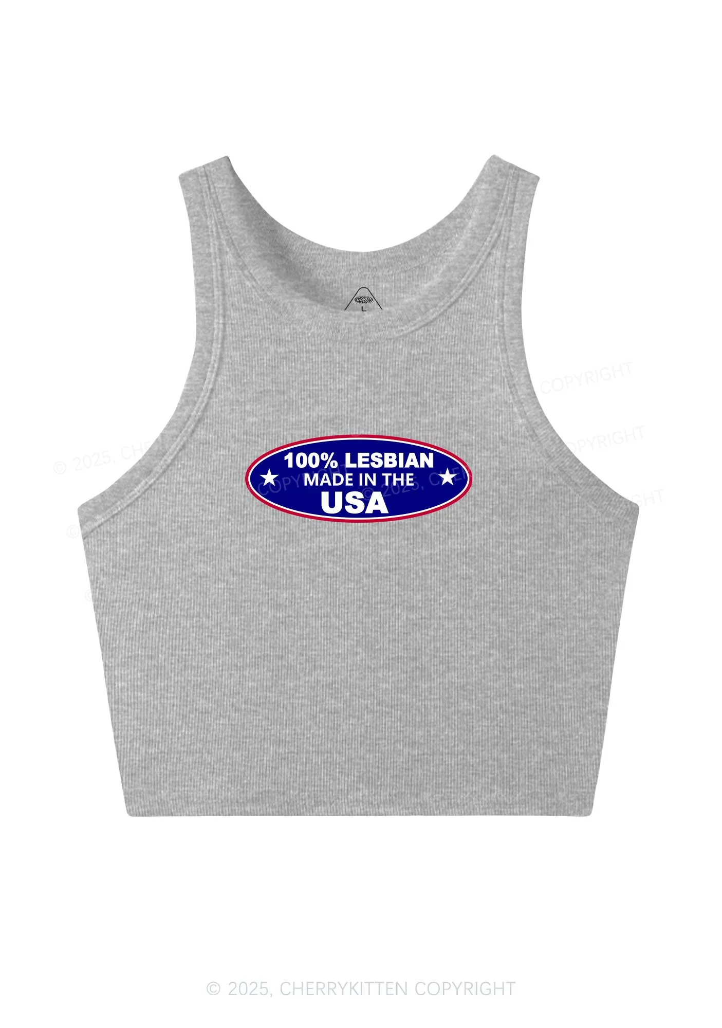 Lesbian Made In USA Y2K Crop Tank Top Cherrykitten - Image 4