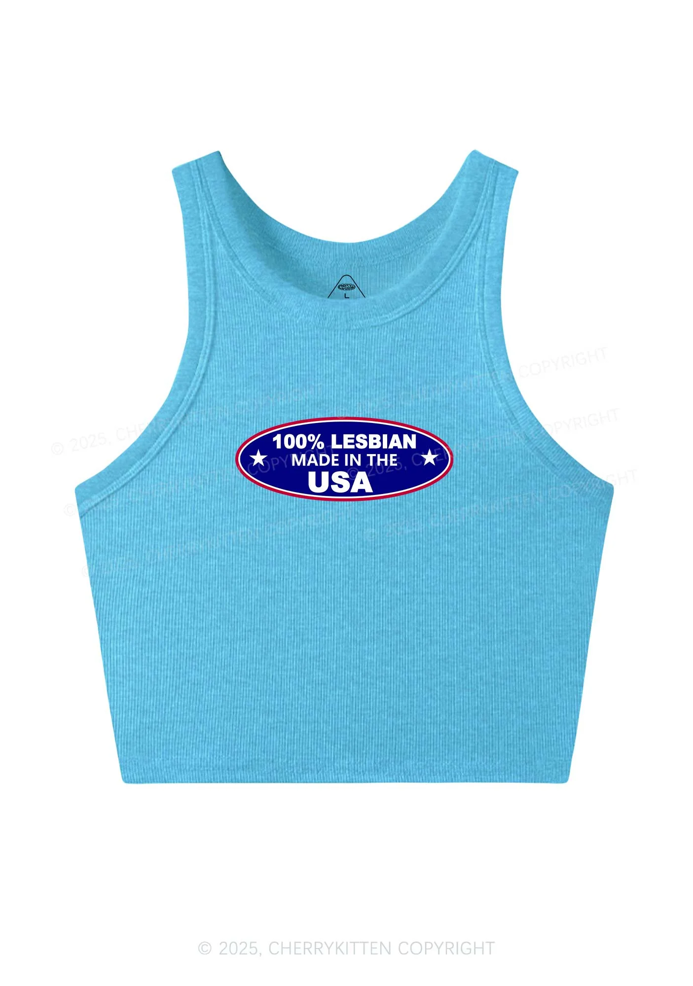 Lesbian Made In USA Y2K Crop Tank Top Cherrykitten - Image 5