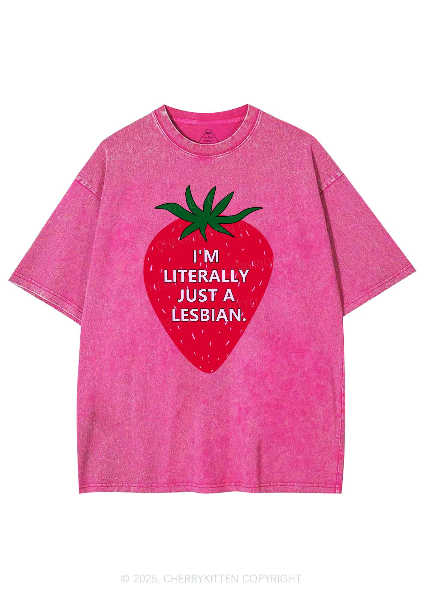 Lesbian Strawberry Pride Y2K Shirts Washed Tee Cherrykitten - Image 4