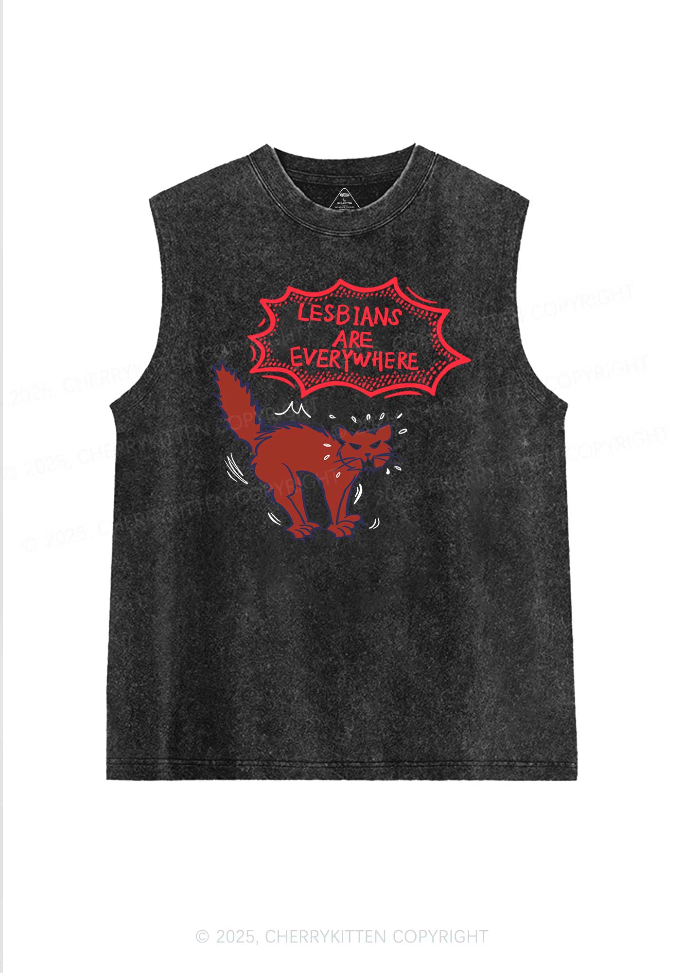 Lesbians Are Everywhere Pride Y2K Washed Muscle Tank Cherrykitten - Image 3