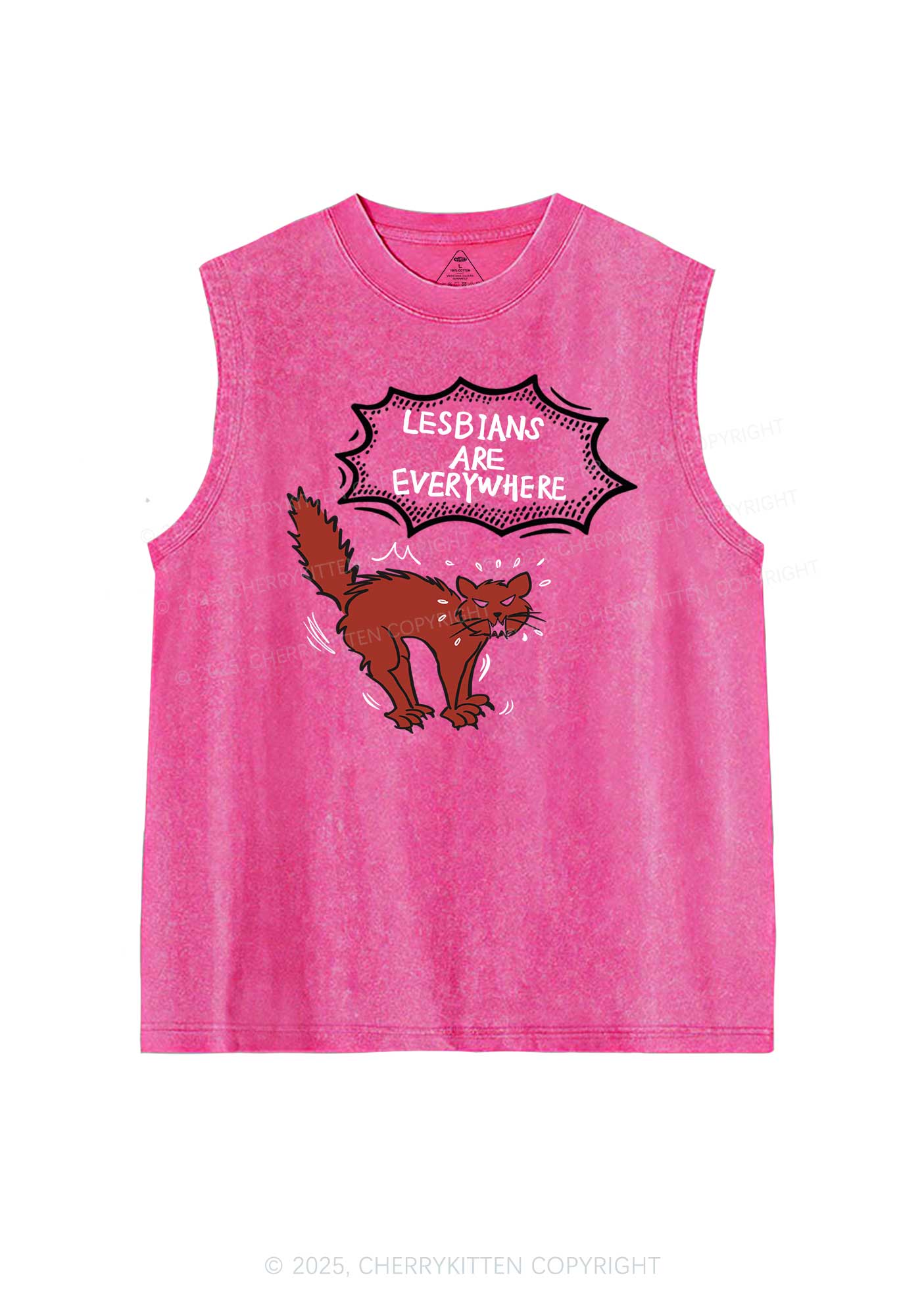 Lesbians Are Everywhere Pride Y2K Washed Muscle Tank Cherrykitten - Image 4