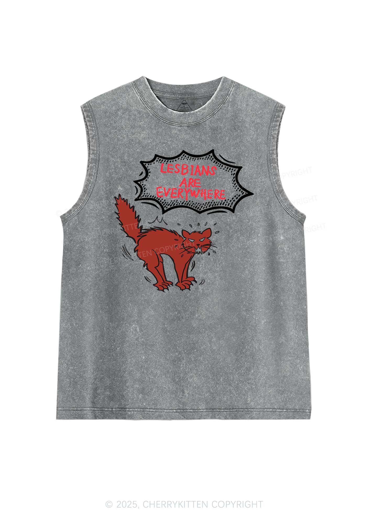 Lesbians Are Everywhere Pride Y2K Washed Muscle Tank Cherrykitten - Image 5