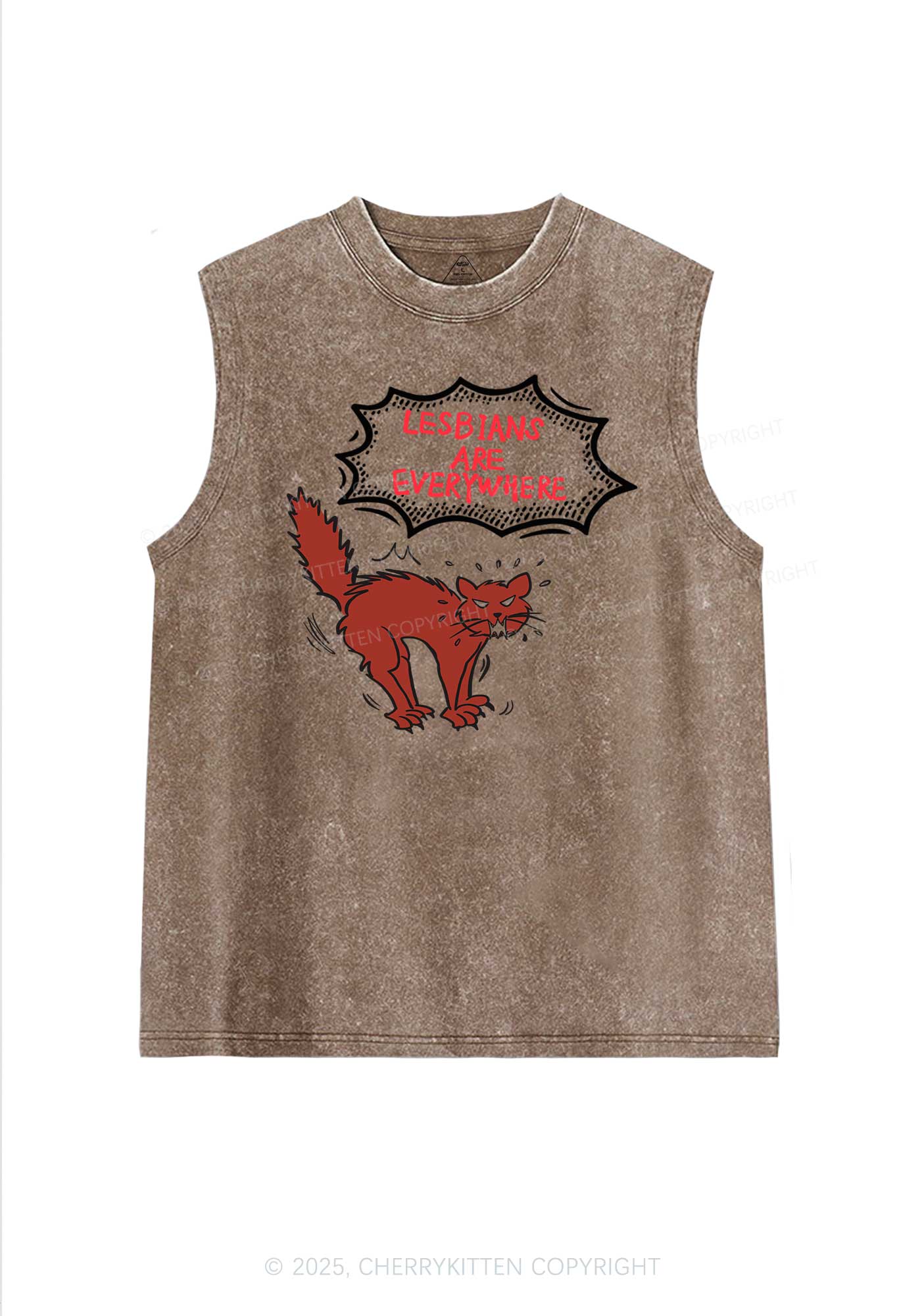 Lesbians Are Everywhere Pride Y2K Washed Muscle Tank Cherrykitten - Image 6