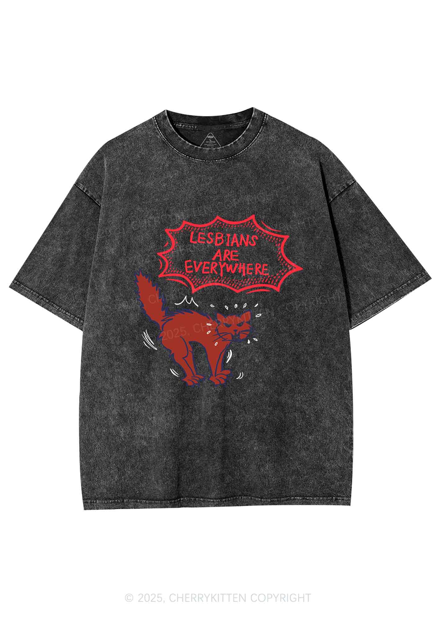 Lesbians Are Everywhere Y2K Shirts Washed Tee Cherrykitten - Image 3