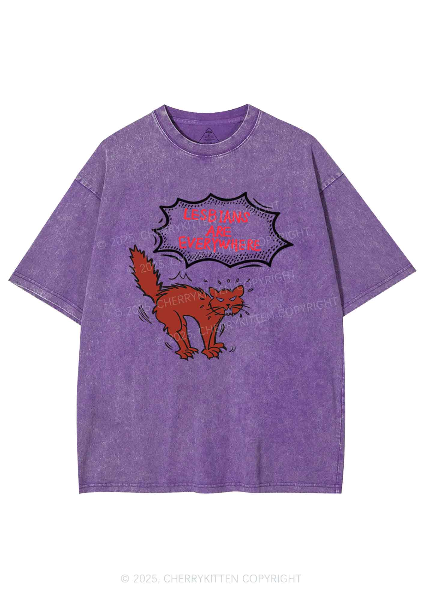 Lesbians Are Everywhere Y2K Shirts Washed Tee Cherrykitten - Image 5