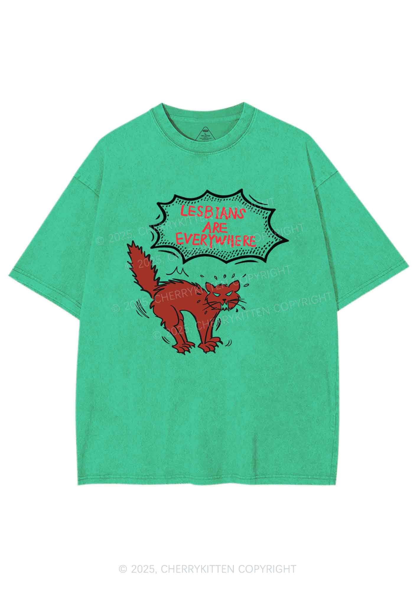 Lesbians Are Everywhere Y2K Shirts Washed Tee Cherrykitten - Image 6