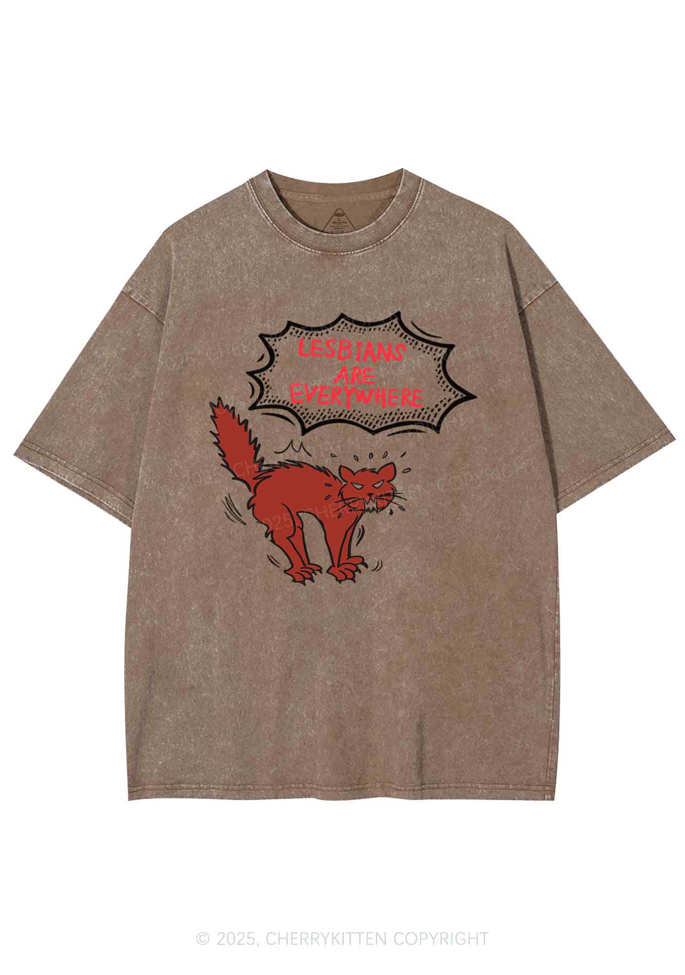 Lesbians Are Everywhere Y2K Shirts Washed Tee Cherrykitten - Image 7