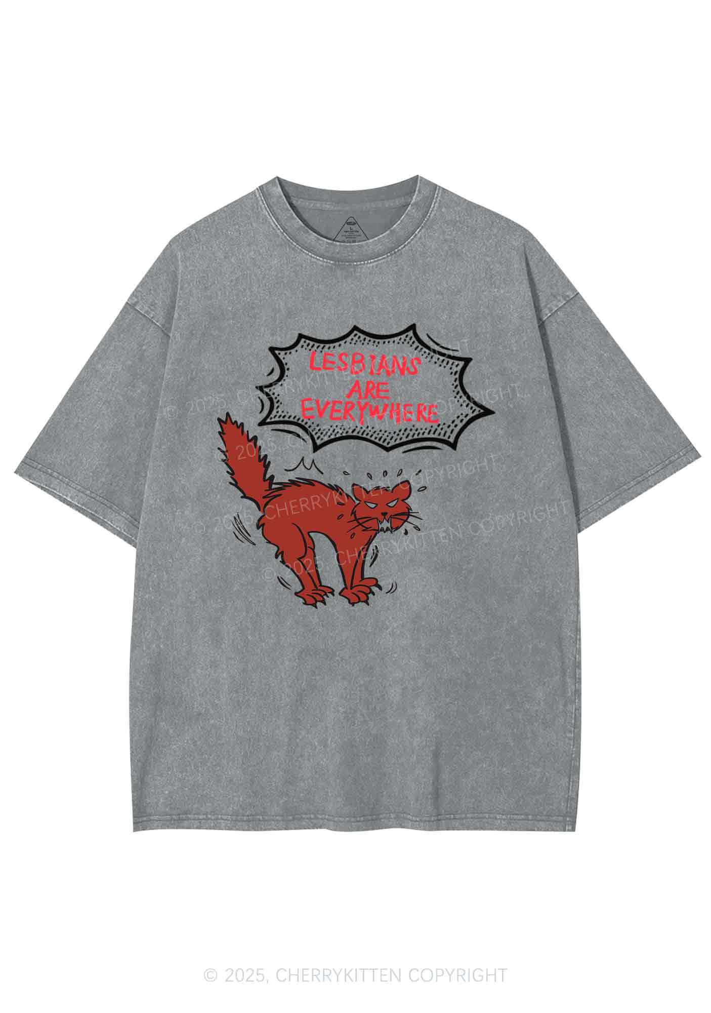 Lesbians Are Everywhere Y2K Shirts Washed Tee Cherrykitten - Image 8