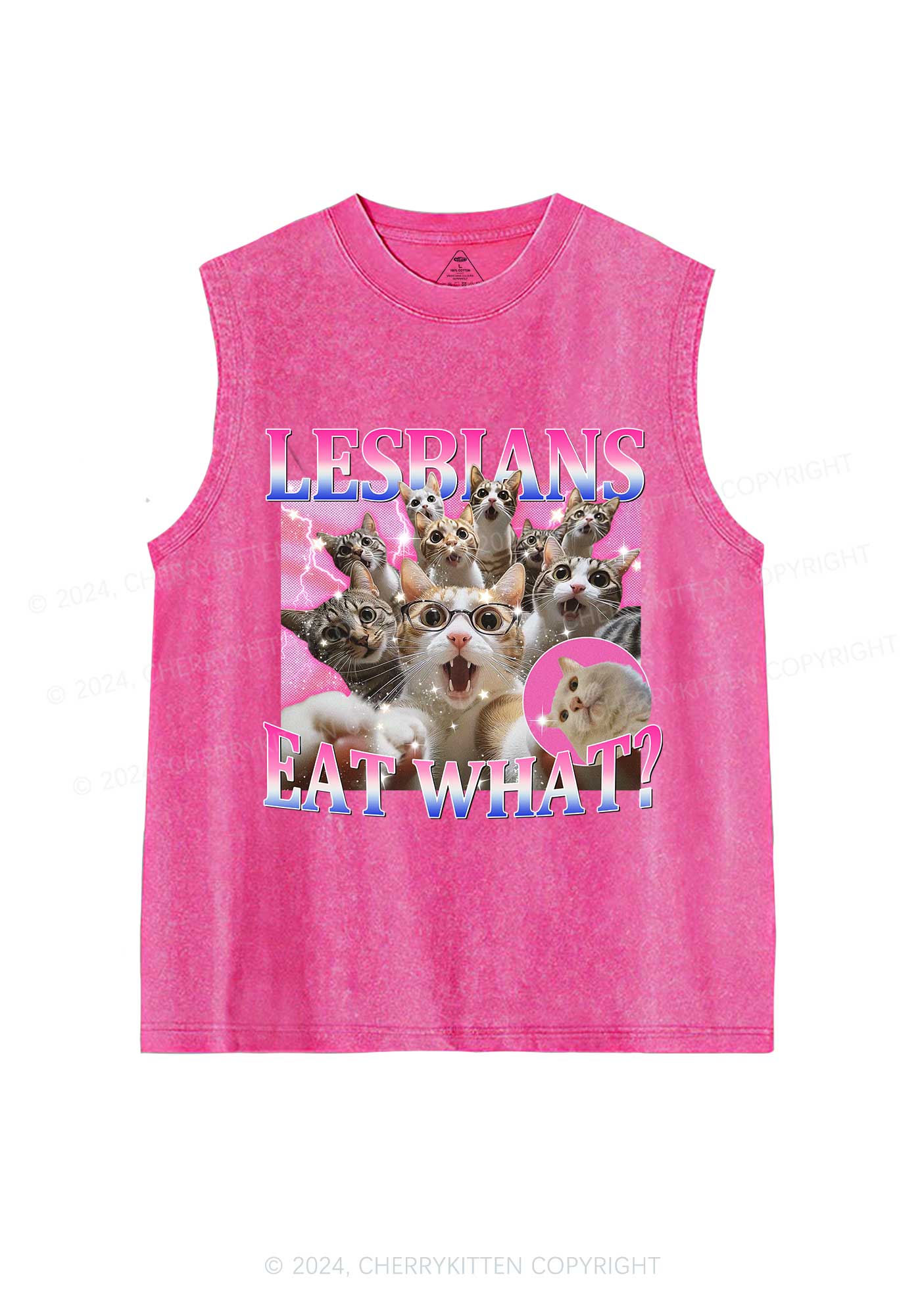 Lesbians Eat What Cat Y2K Washed Tank Cherrykitten - Image 3