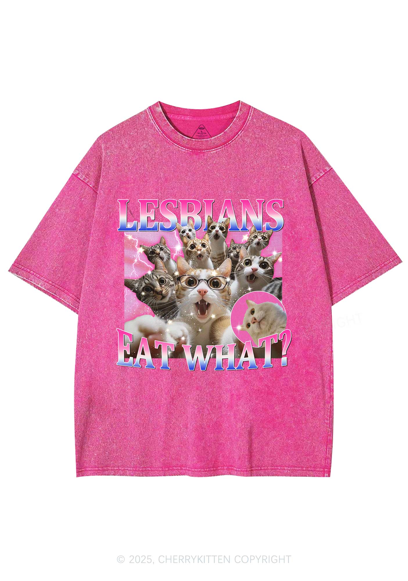 Lesbians Eat What Cat Y2K Washed Tee Cherrykitten - Image 3