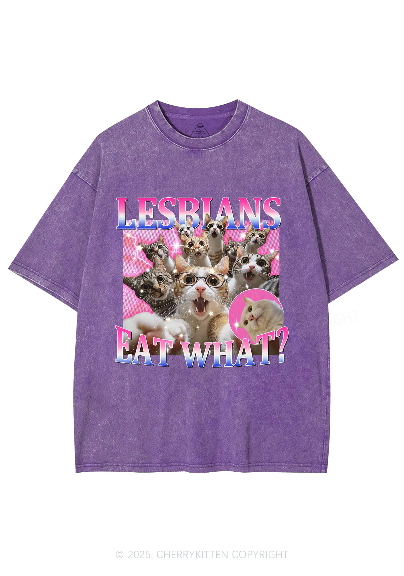 Lesbians Eat What Cat Y2K Washed Tee Cherrykitten - Image 4