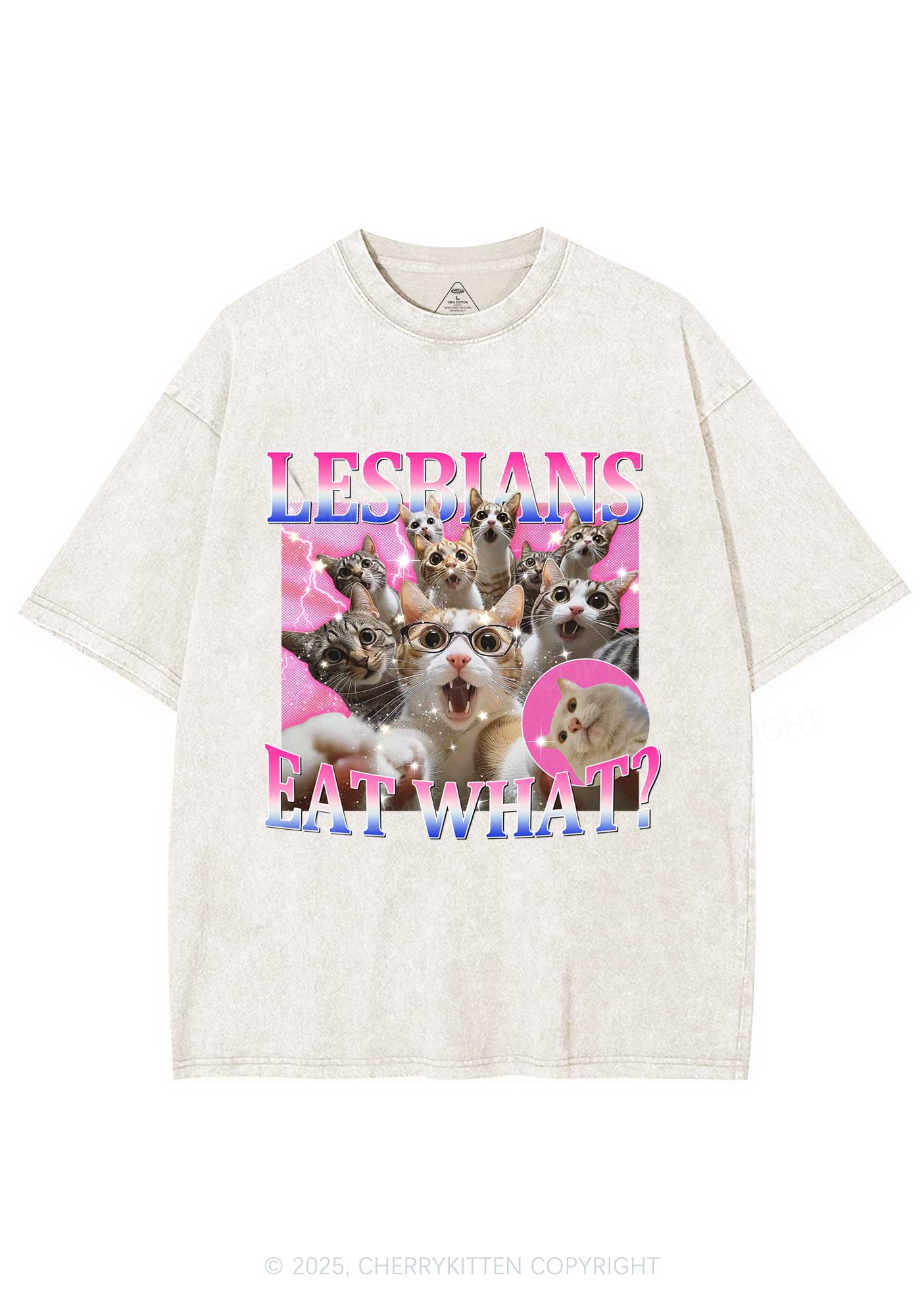 Lesbians Eat What Cat Y2K Washed Tee Cherrykitten - Image 5