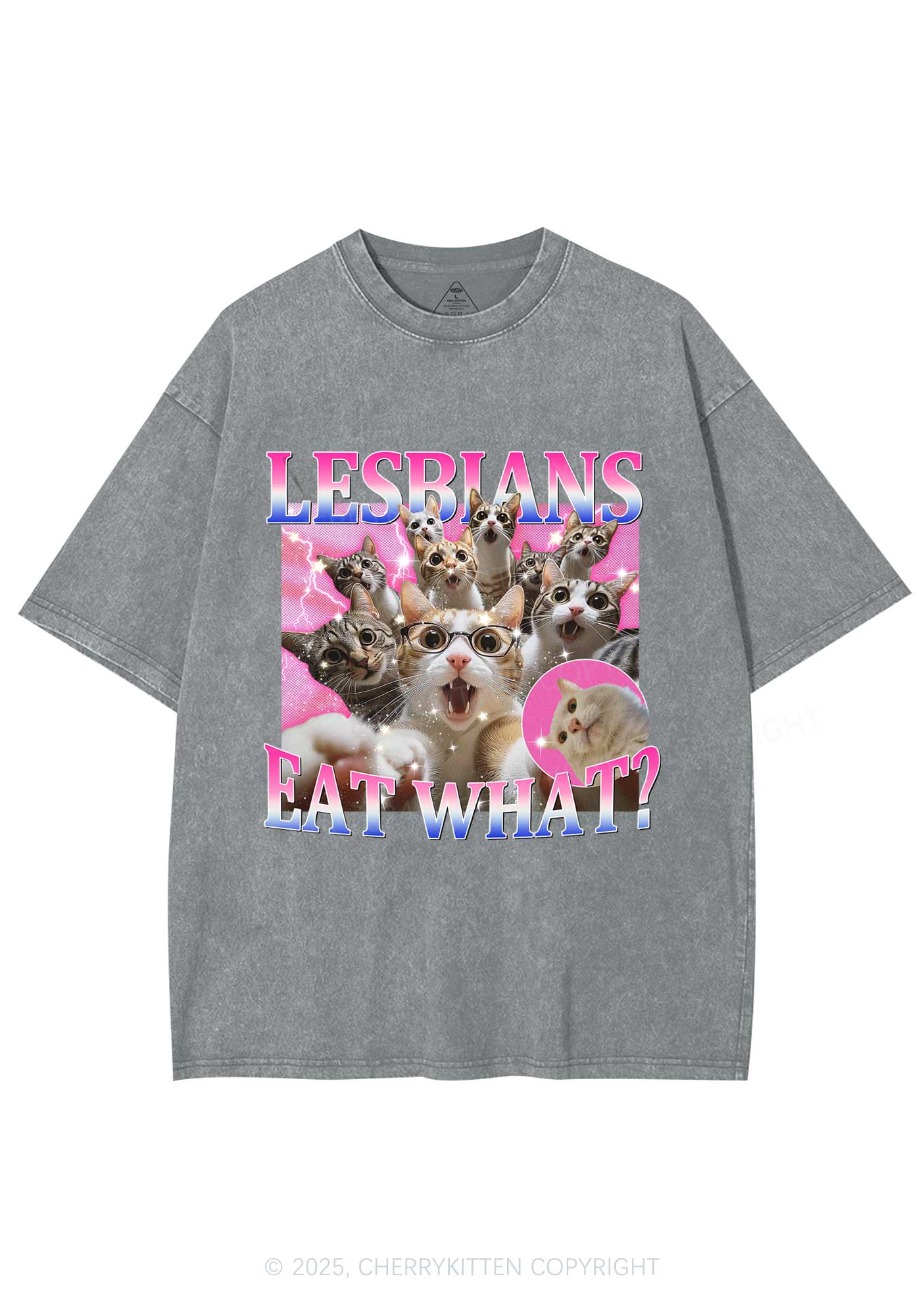 Lesbians Eat What Cat Y2K Washed Tee Cherrykitten - Image 6