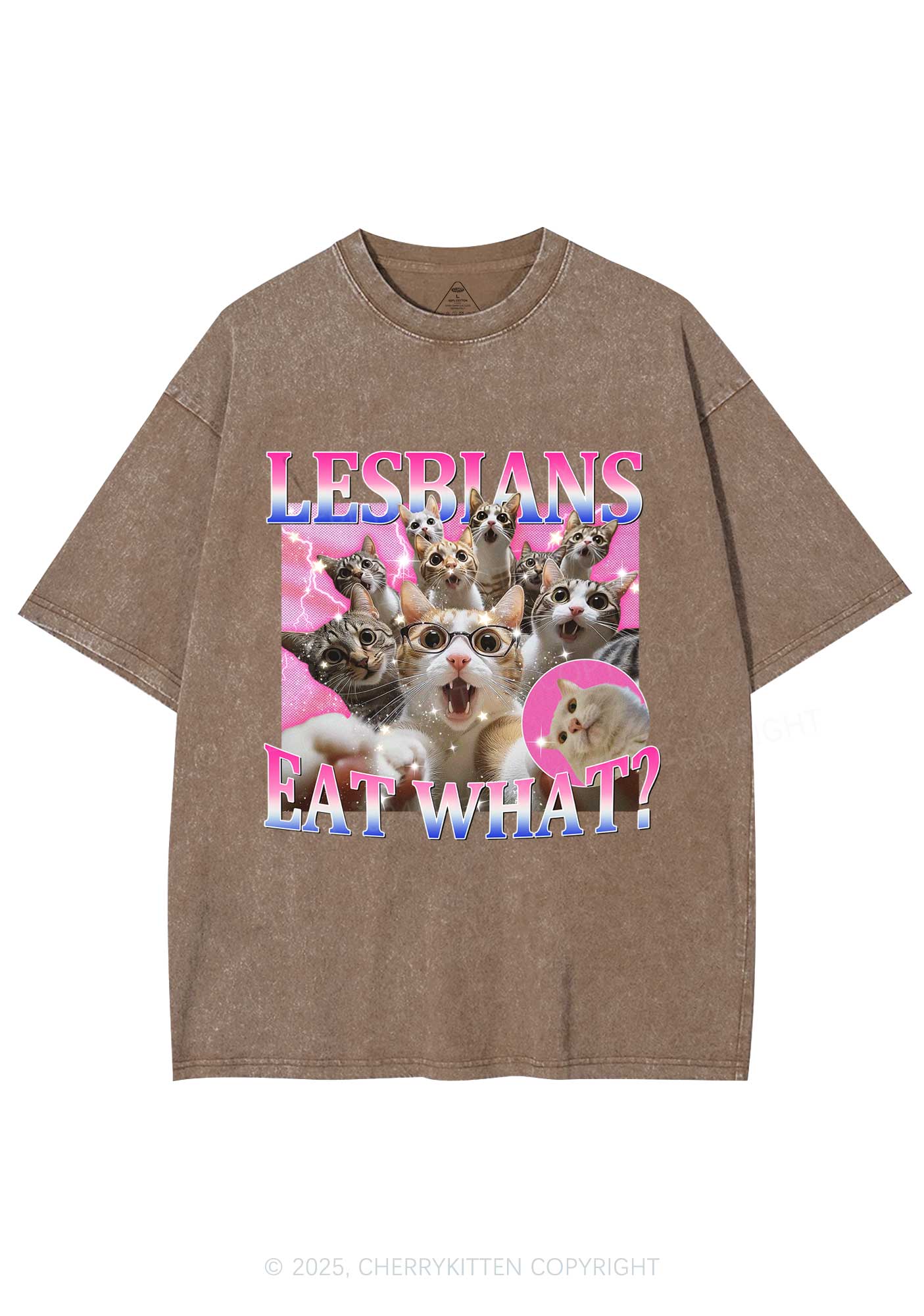 Lesbians Eat What Cat Y2K Washed Tee Cherrykitten - Image 7