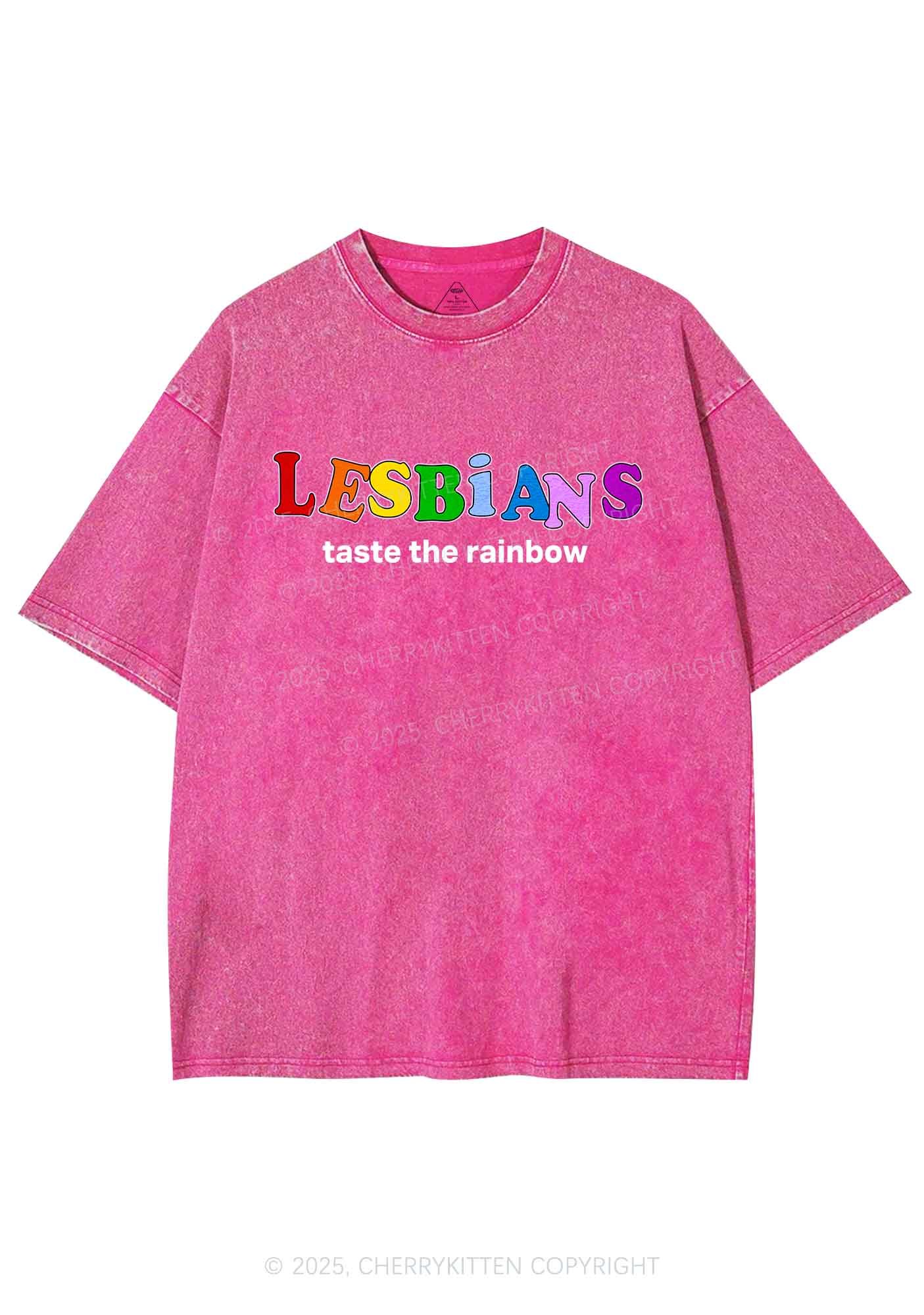 Lesbians Taste The Rainbow Y2K Shirts Washed Tee Cherrykitten - Image 3