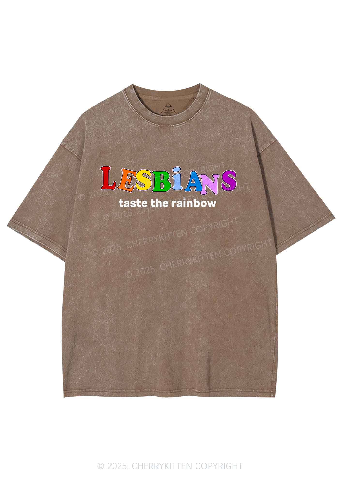 Lesbians Taste The Rainbow Y2K Shirts Washed Tee Cherrykitten - Image 6