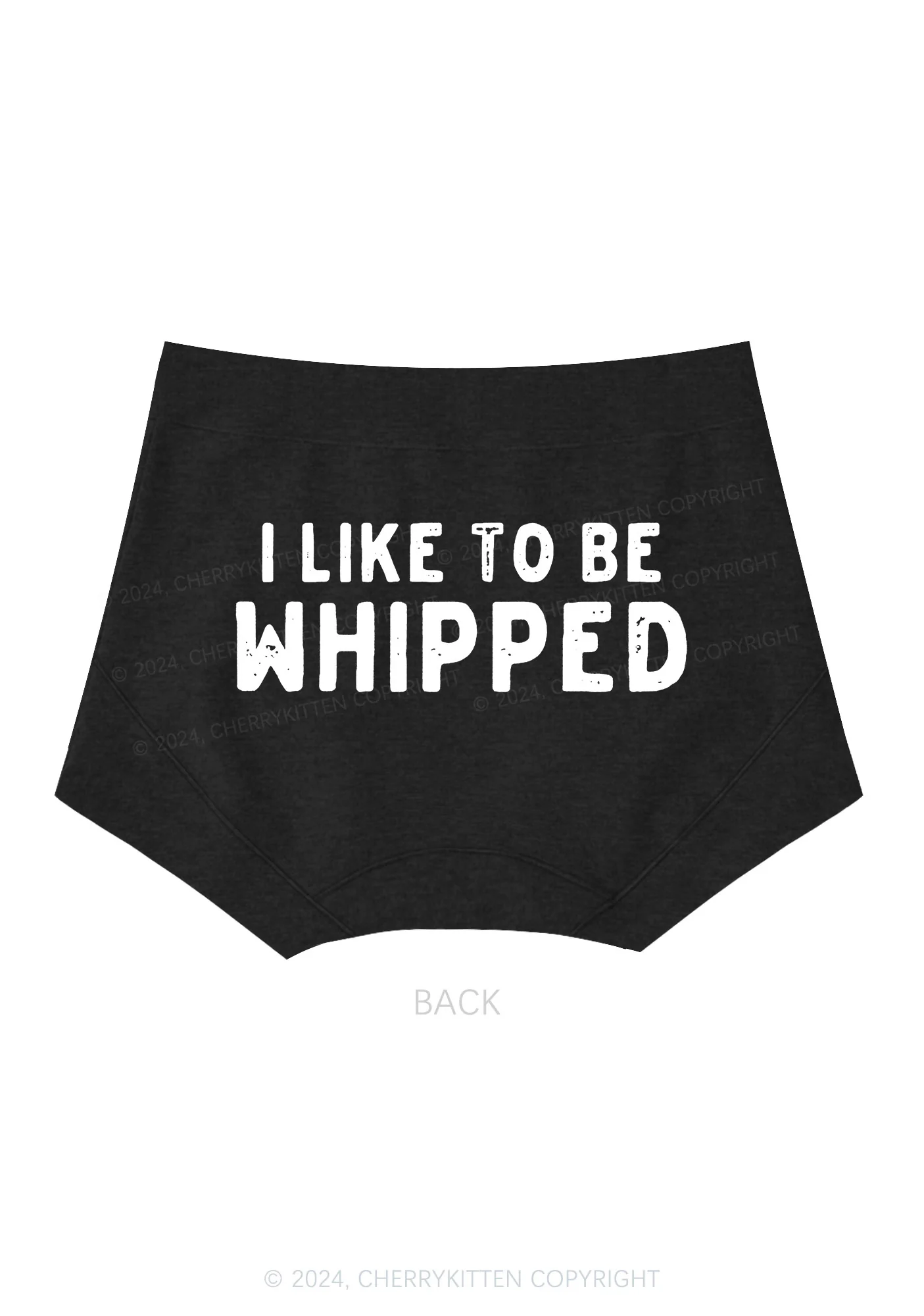 Like To Be Whipped Y2K Mid Rise Waist Boyshort Cherrykitten - Image 4