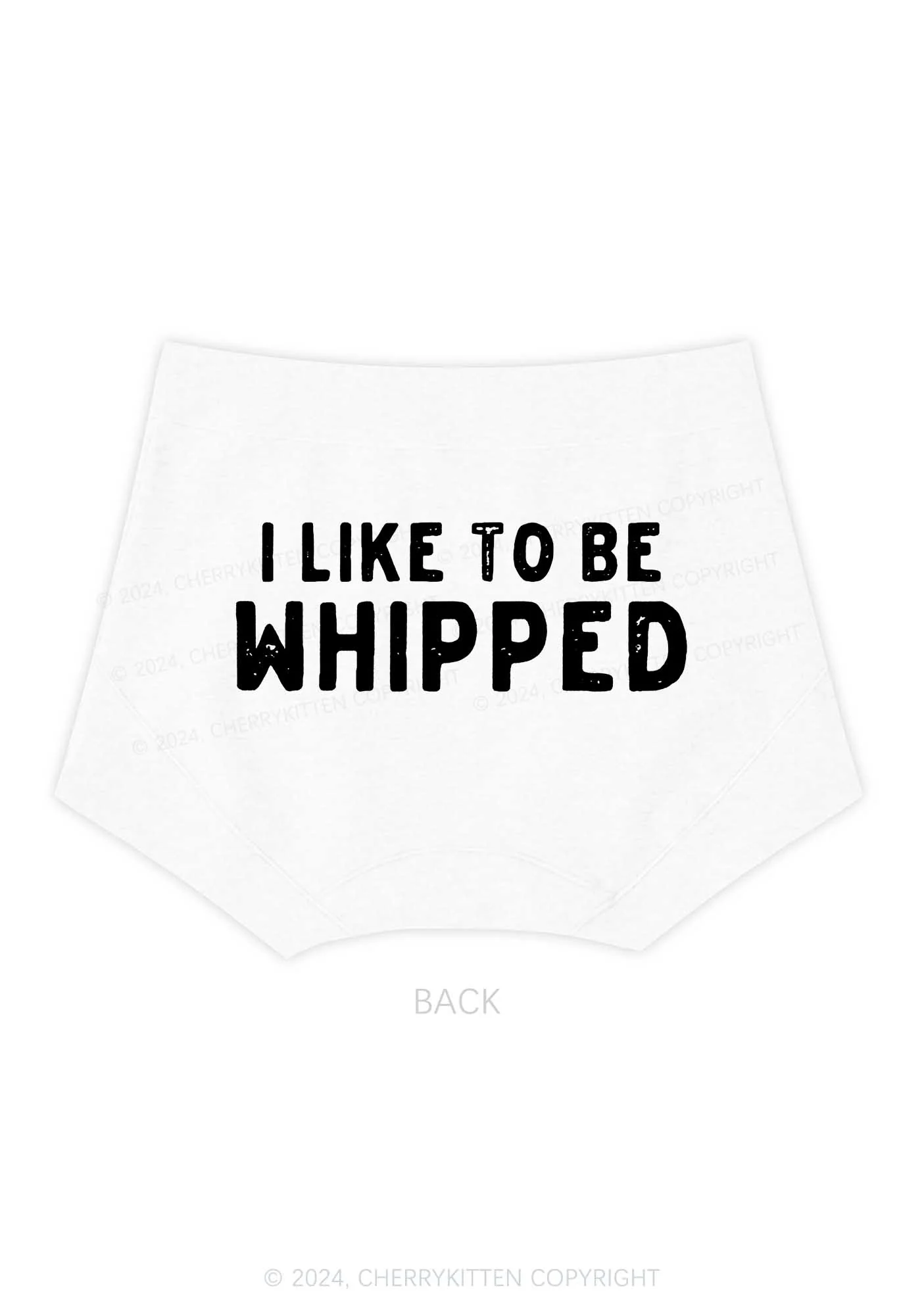 Like To Be Whipped Y2K Mid Rise Waist Boyshort Cherrykitten - Image 5