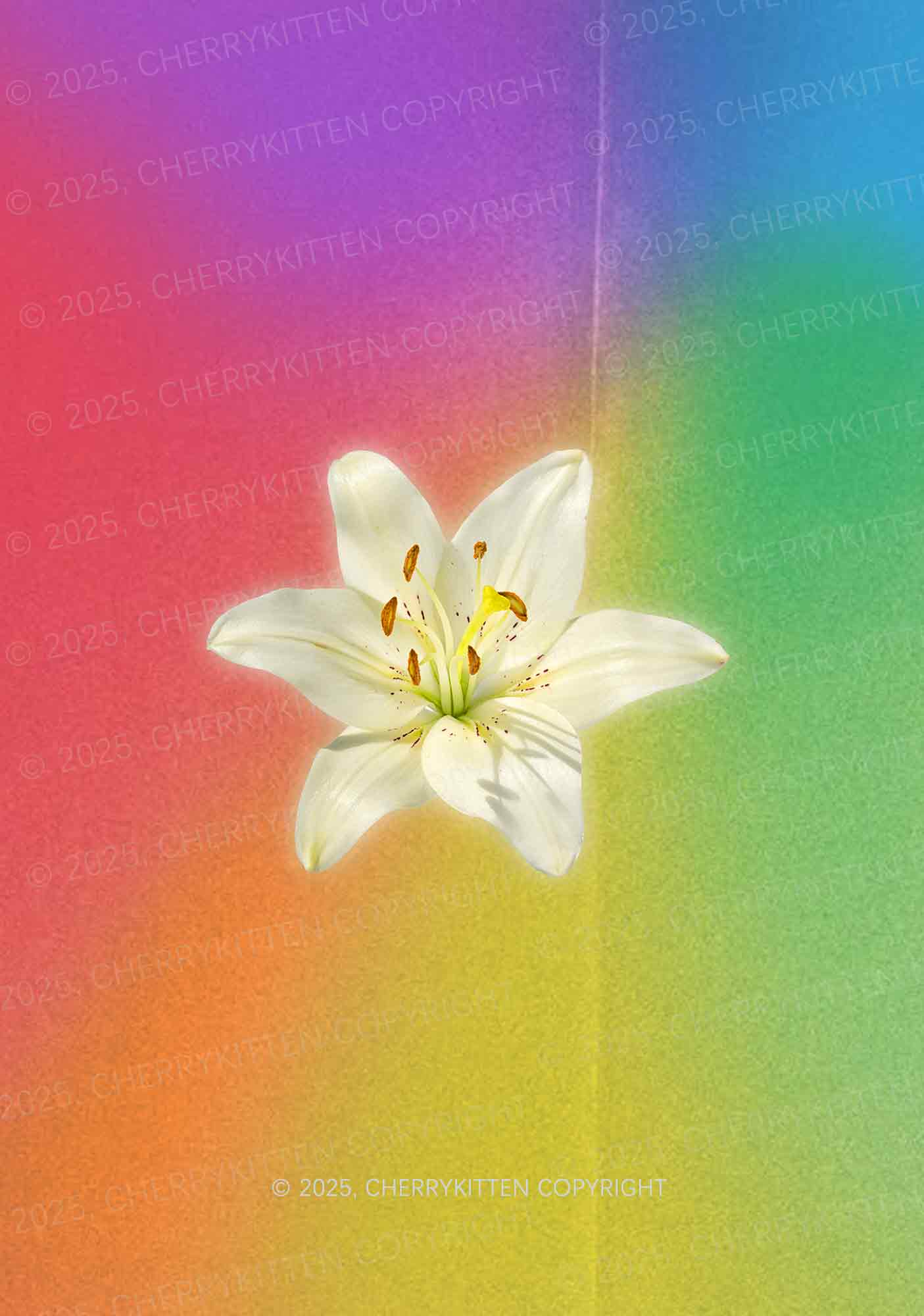 Lily in Rainbow Pride Y2K Mesh Crop Top Cherrykitten - Image 2