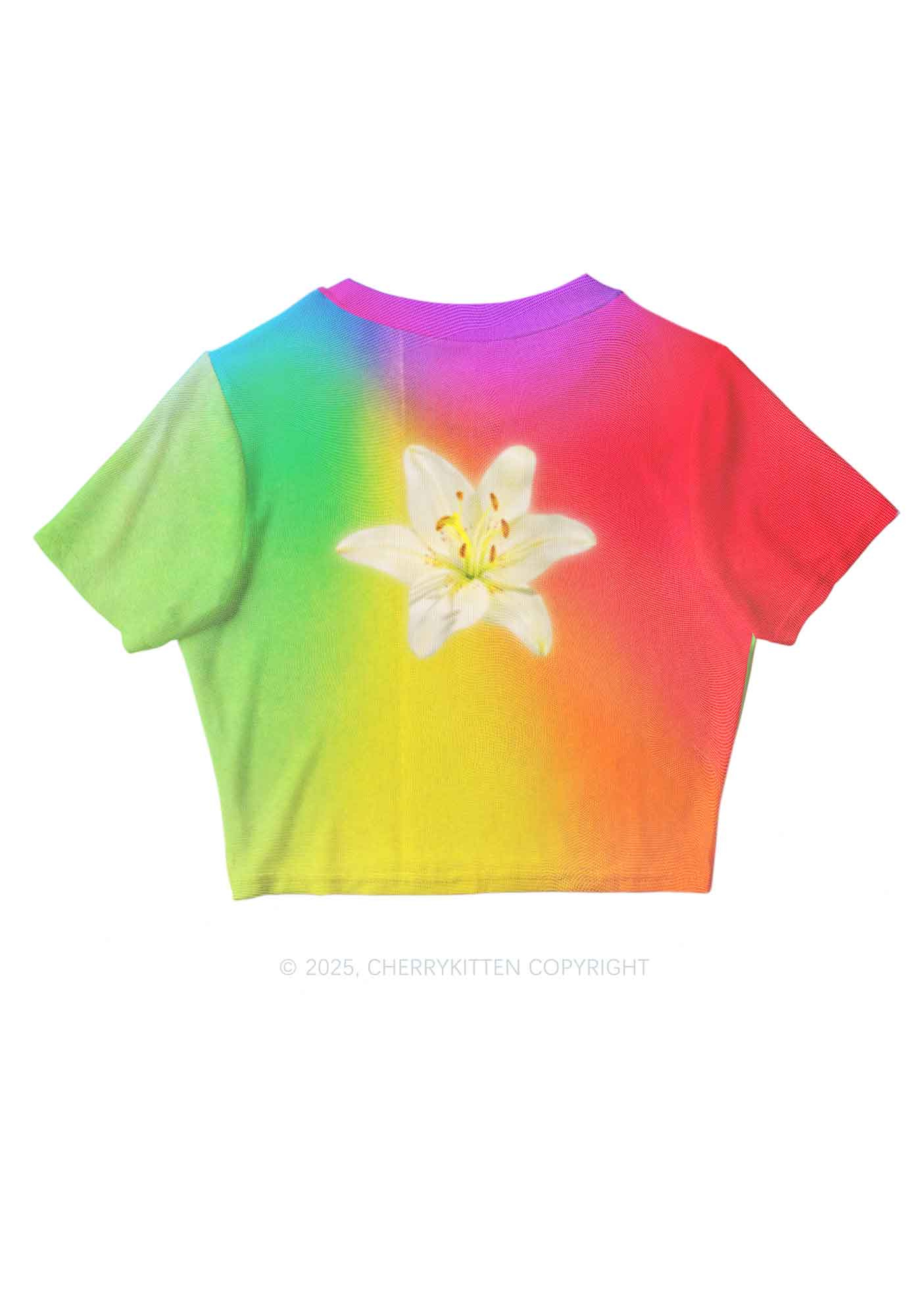 Lily in Rainbow Pride Y2K Mesh Crop Top Cherrykitten - Image 3