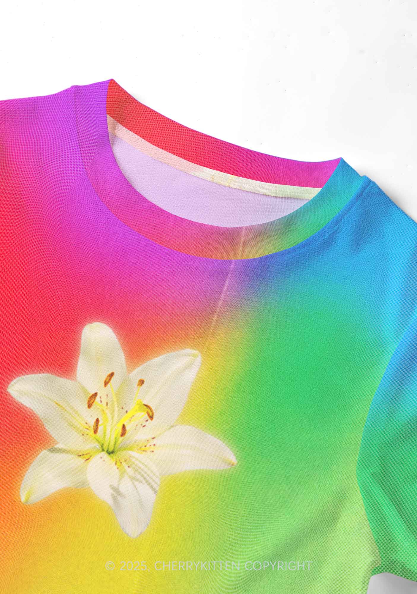 Lily in Rainbow Pride Y2K Mesh Crop Top Cherrykitten - Image 5