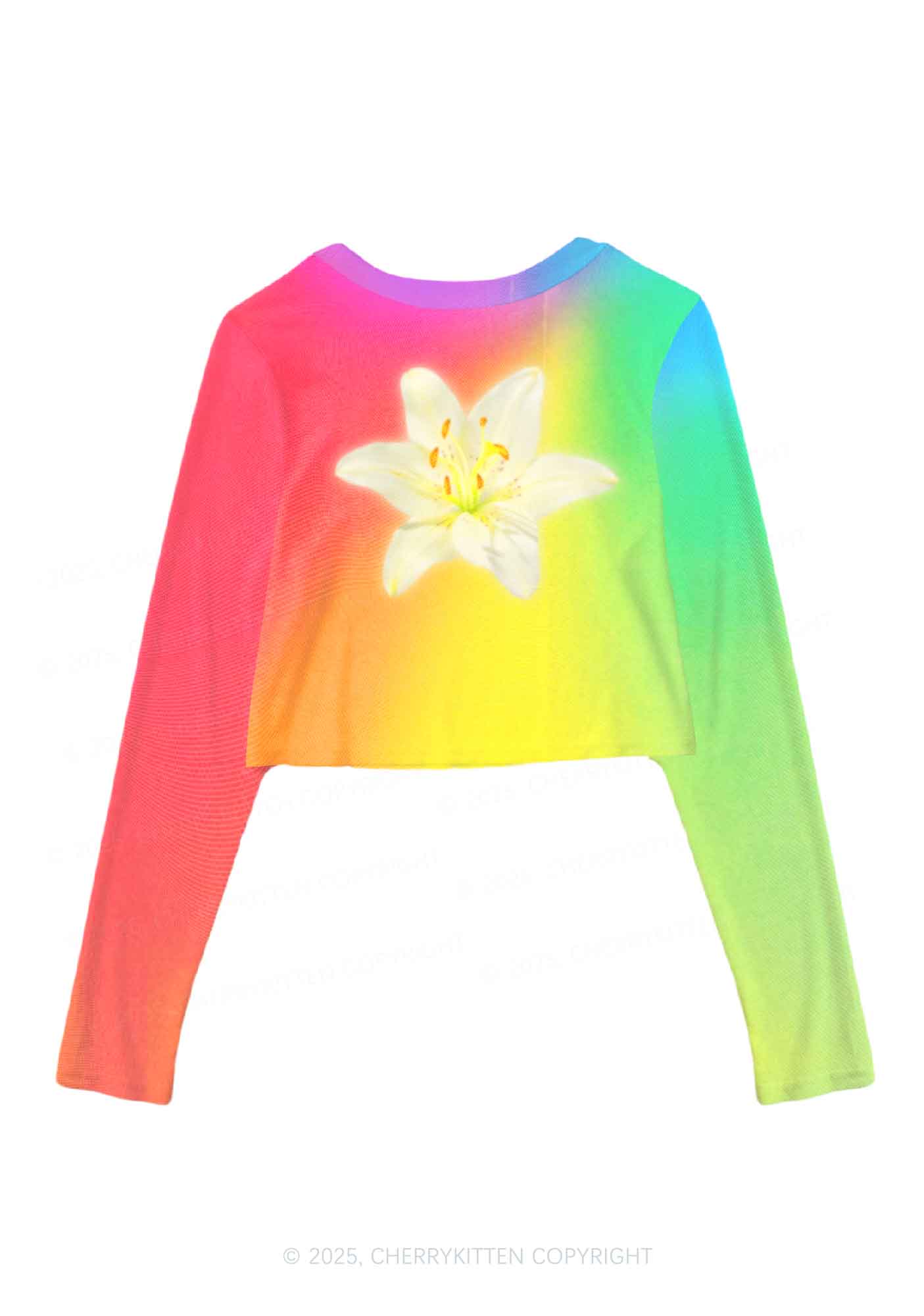 Lily in Rainbow Pride Y2K Mesh Long Sleeve Crop Top Cherrykitten - Image 3