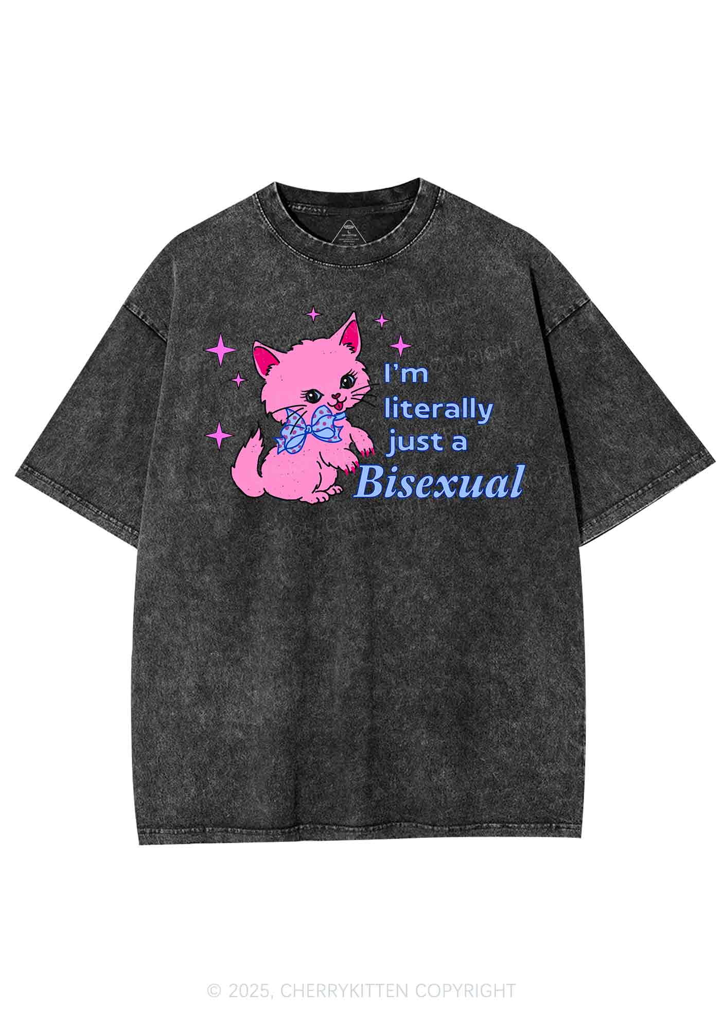 Literally Just A Bisexual Pride Y2K Shirts Washed Tee Cherrykitten - Image 3