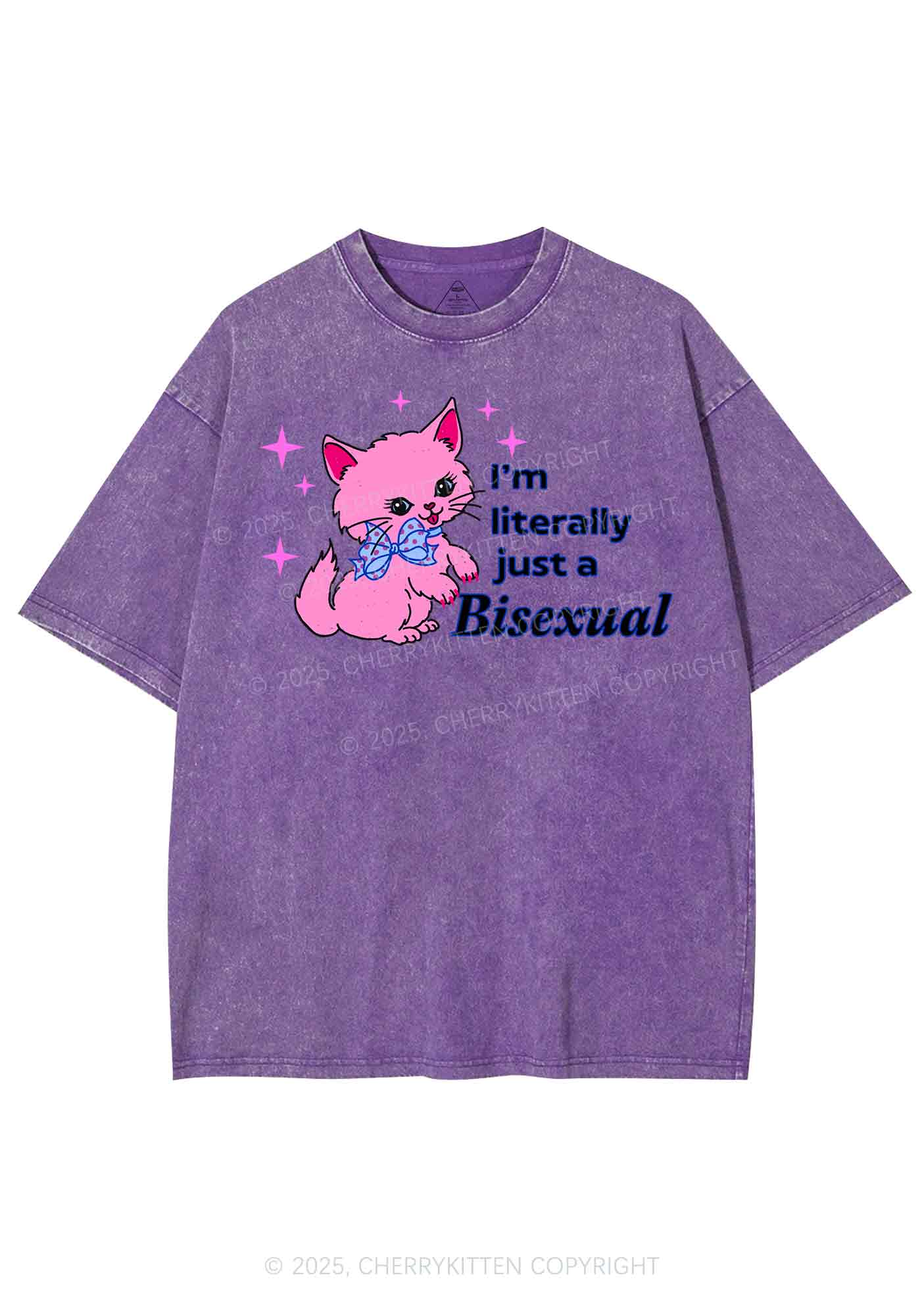 Literally Just A Bisexual Pride Y2K Shirts Washed Tee Cherrykitten - Image 4