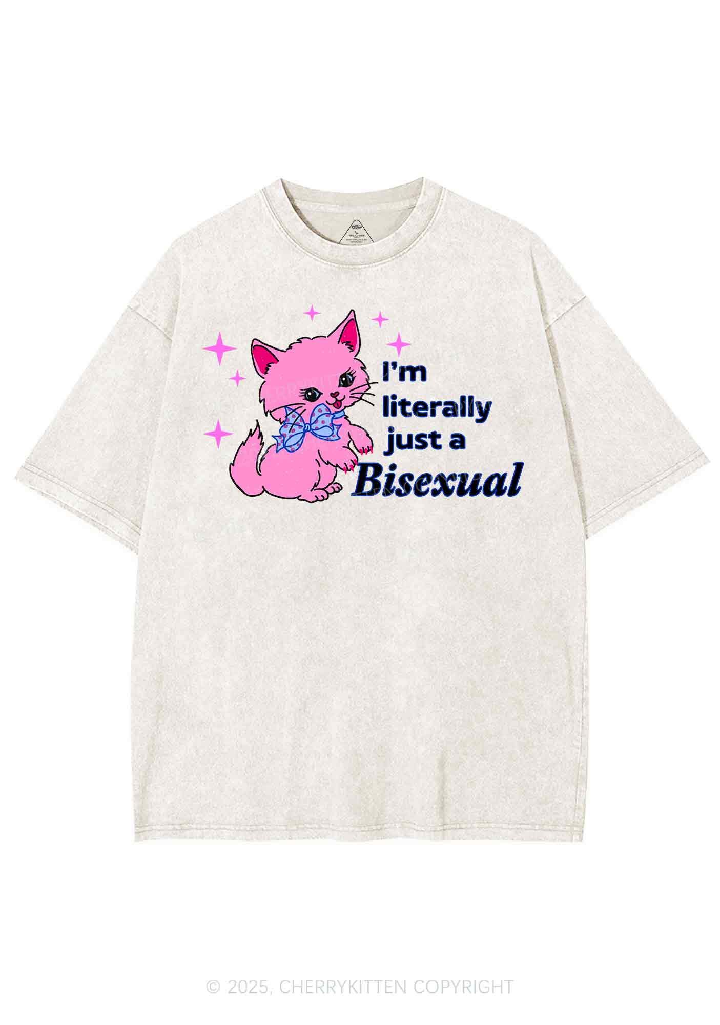 Literally Just A Bisexual Pride Y2K Shirts Washed Tee Cherrykitten - Image 5