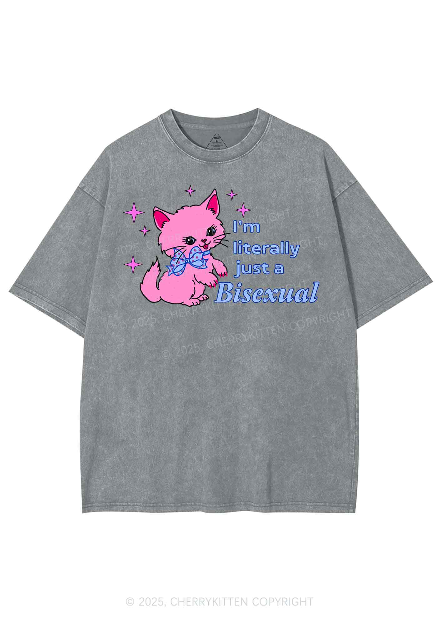 Literally Just A Bisexual Pride Y2K Shirts Washed Tee Cherrykitten - Image 6