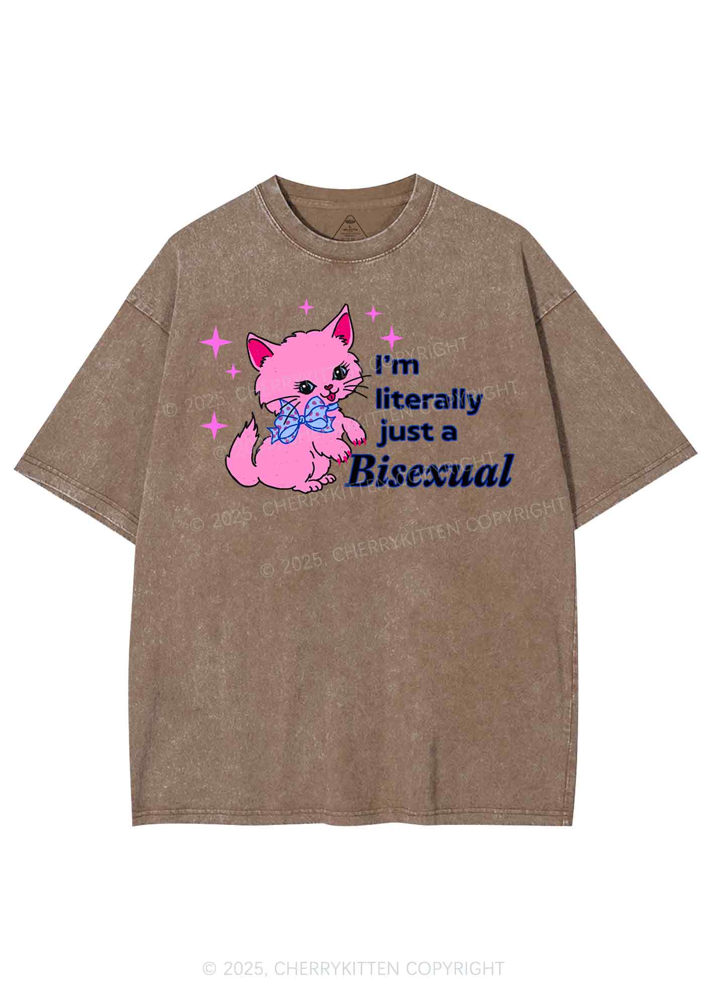 Literally Just A Bisexual Pride Y2K Shirts Washed Tee Cherrykitten - Image 7